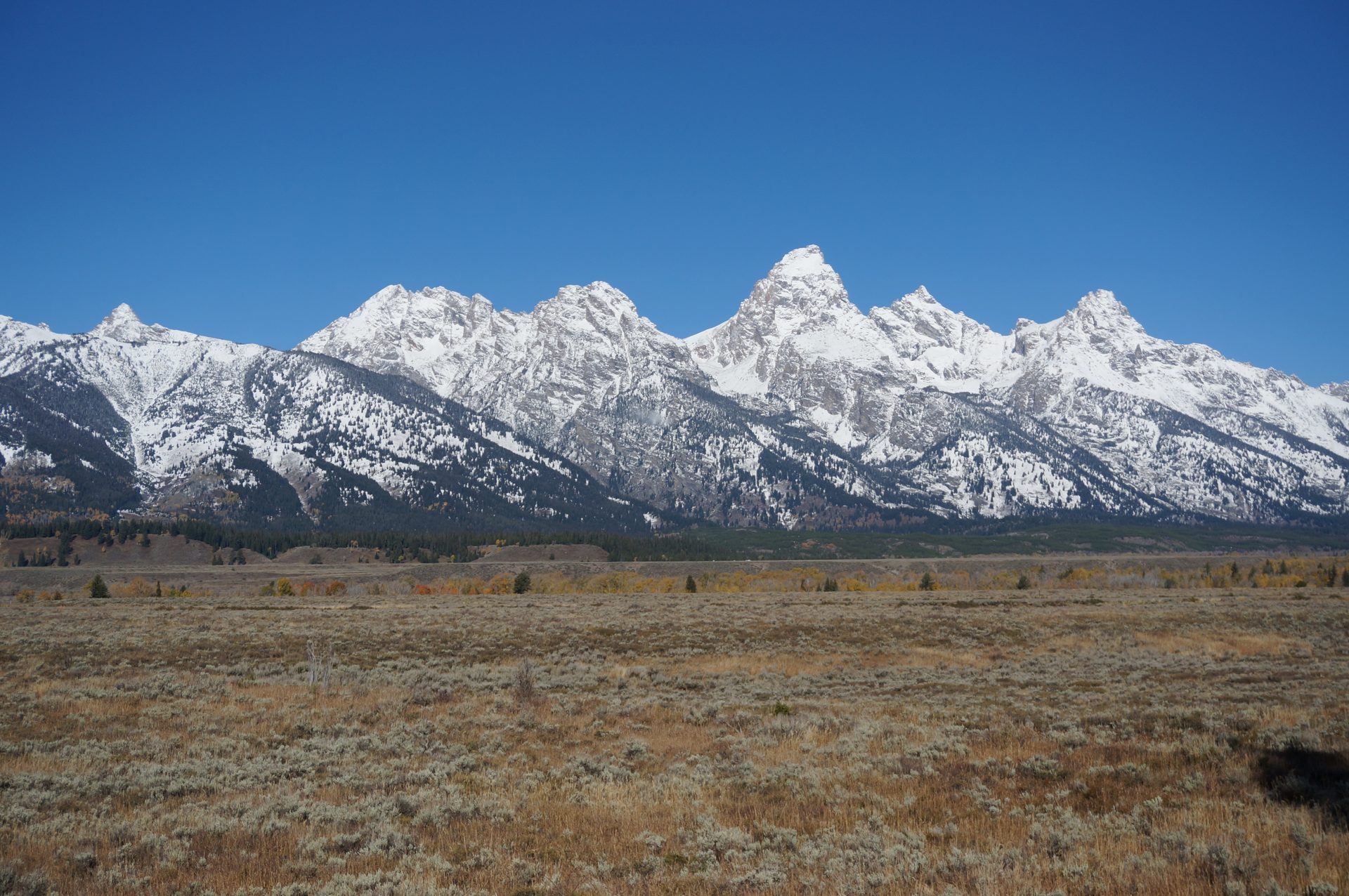 Jackson, Wyoming photo