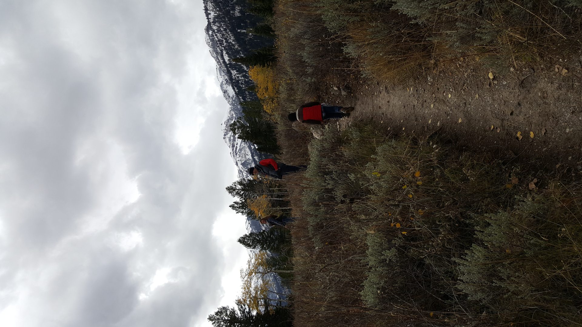 Jackson, Wyoming photo