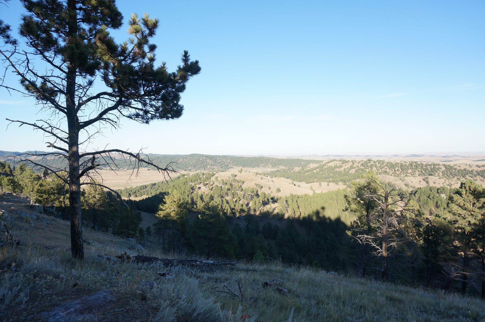 Jackson, Wyoming photo