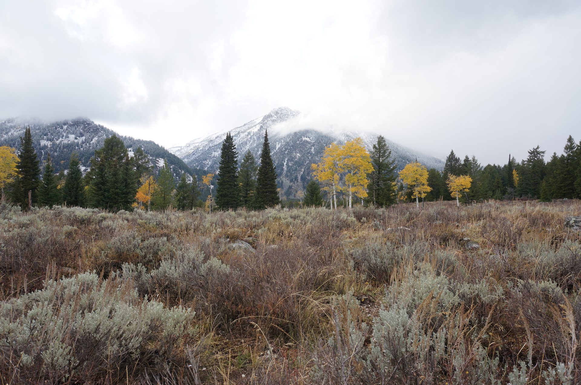 Jackson, Wyoming photo