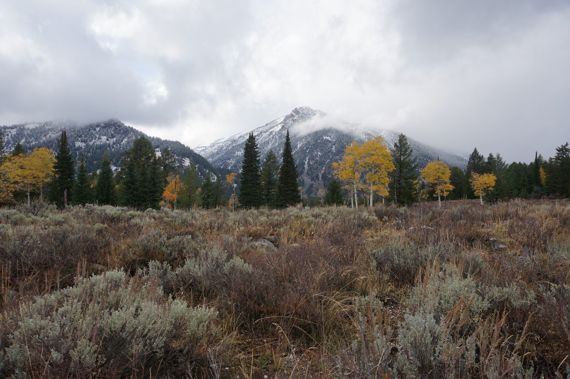 Jackson, Wyoming photo