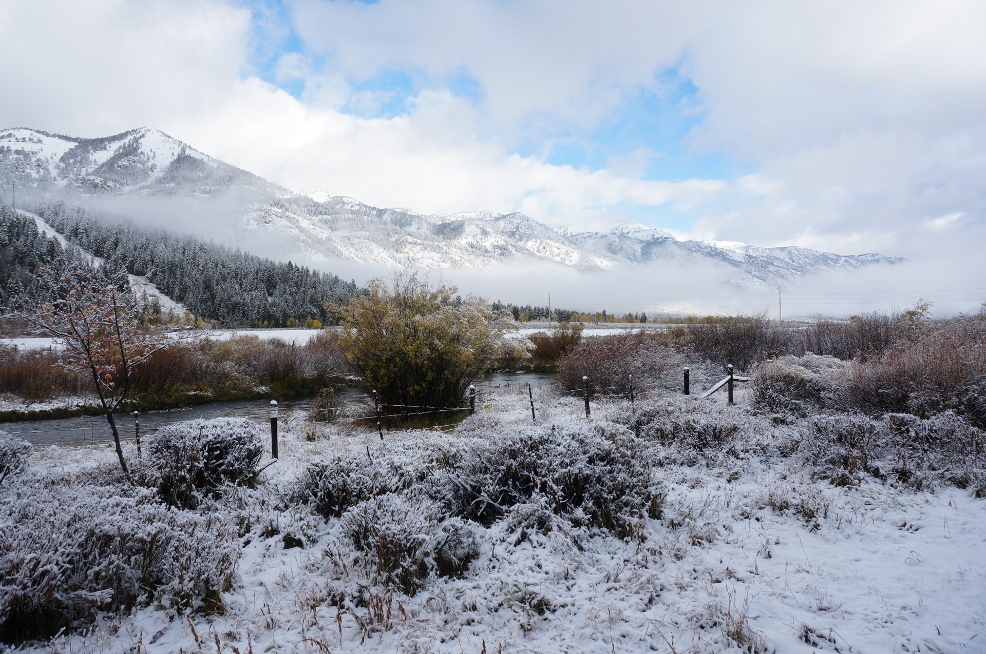 Jackson, Wyoming photo