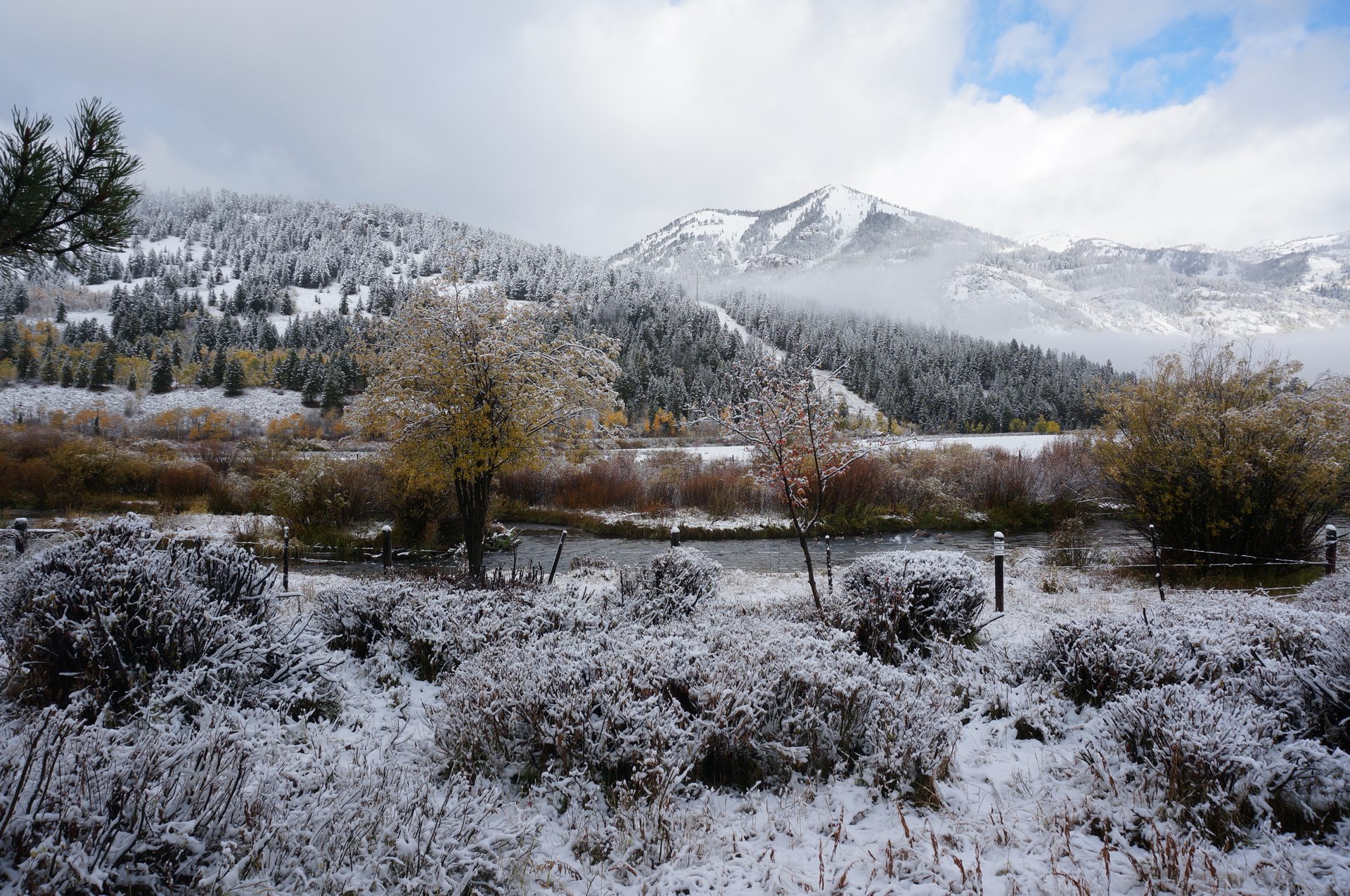 Jackson, Wyoming photo