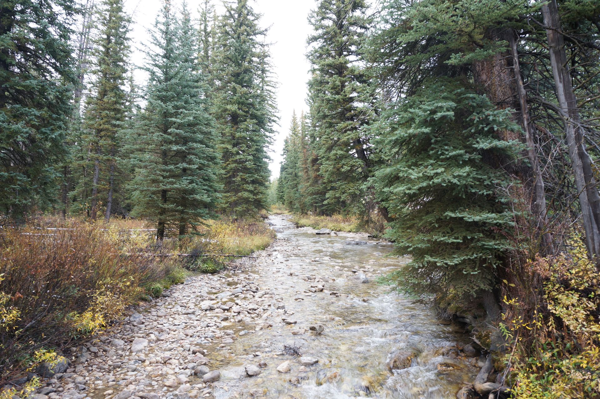 Jackson, Wyoming photo