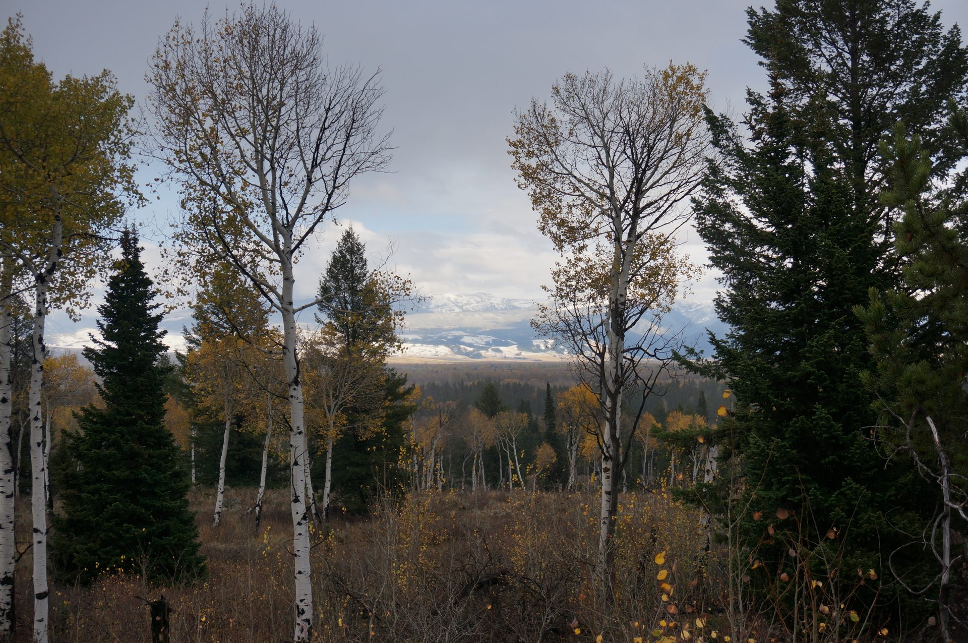 Jackson, Wyoming photo
