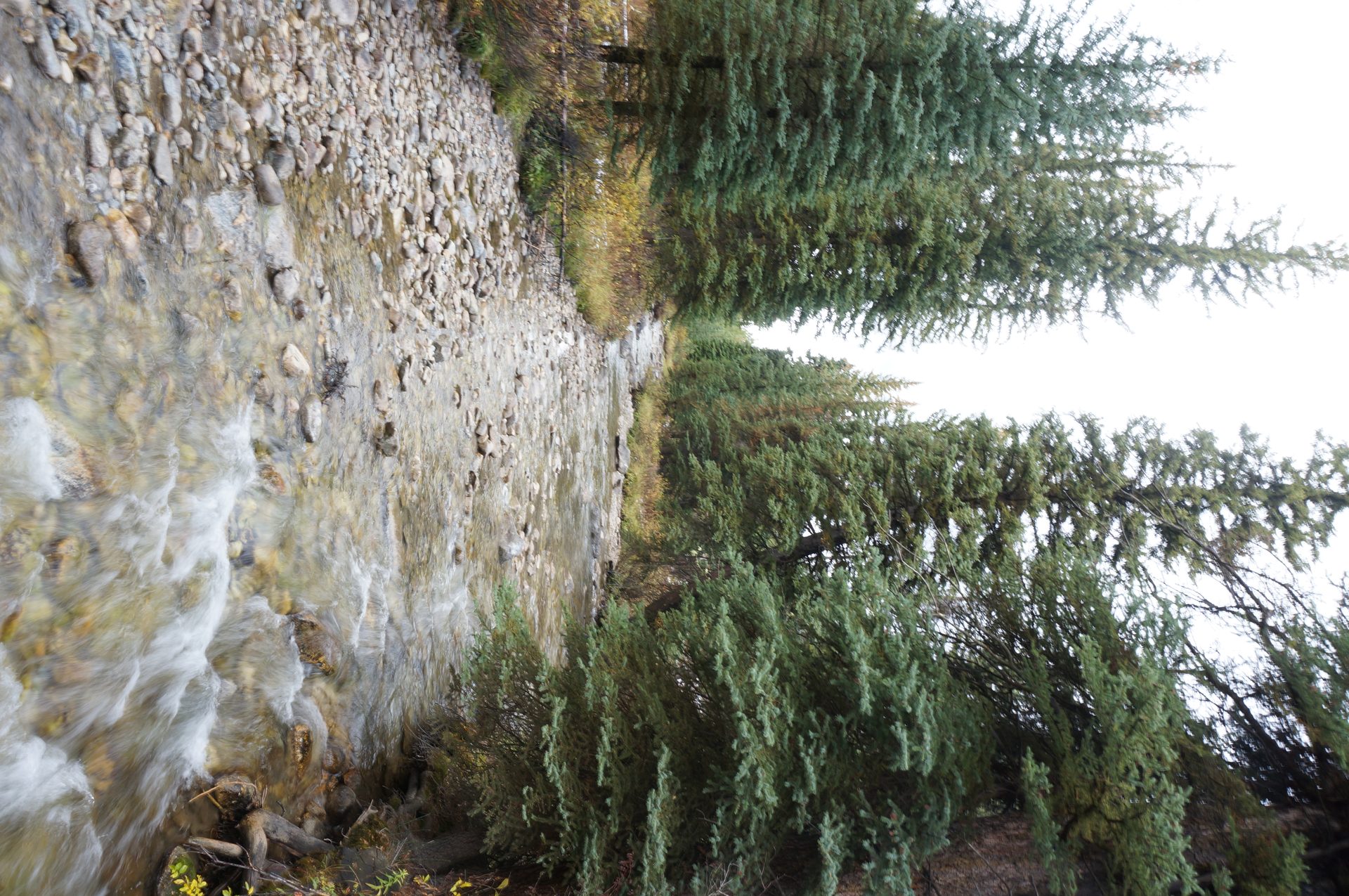 Jackson, Wyoming photo