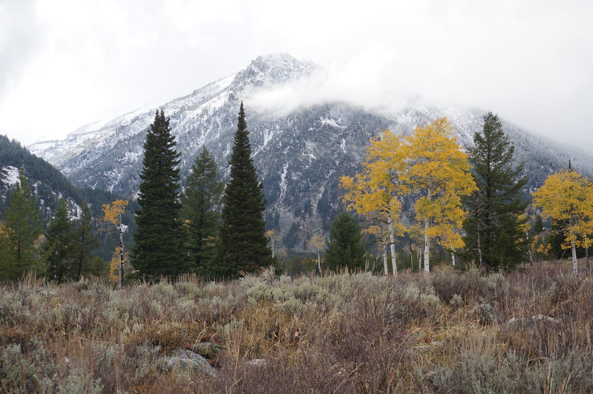 Jackson, Wyoming photo