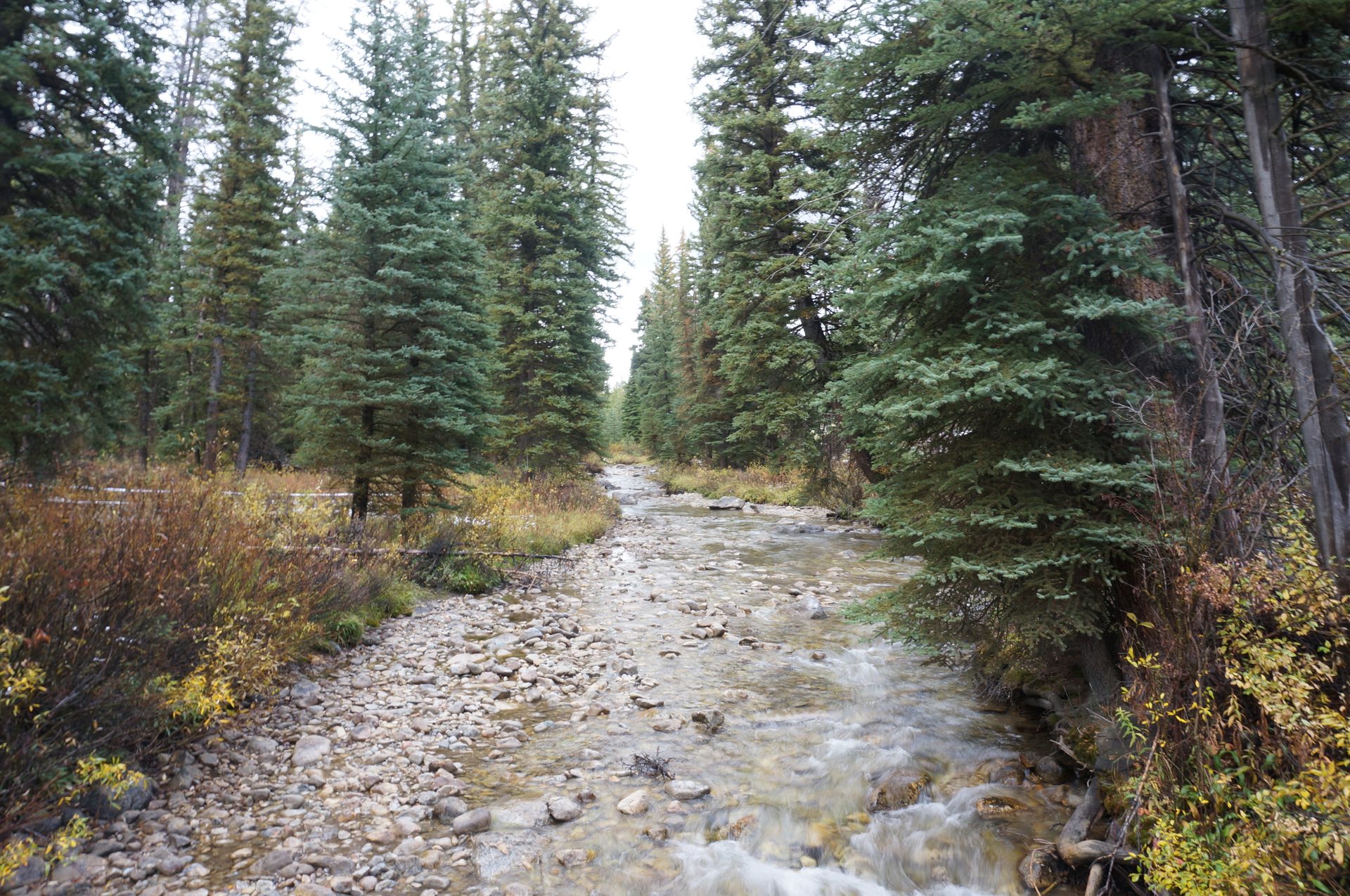 Jackson, Wyoming photo