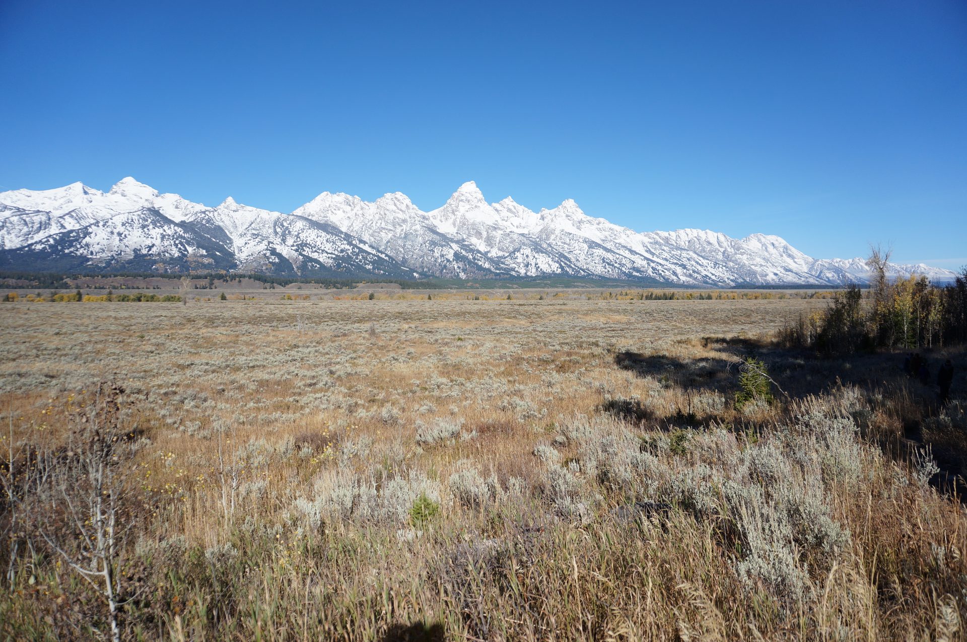 Jackson, Wyoming photo