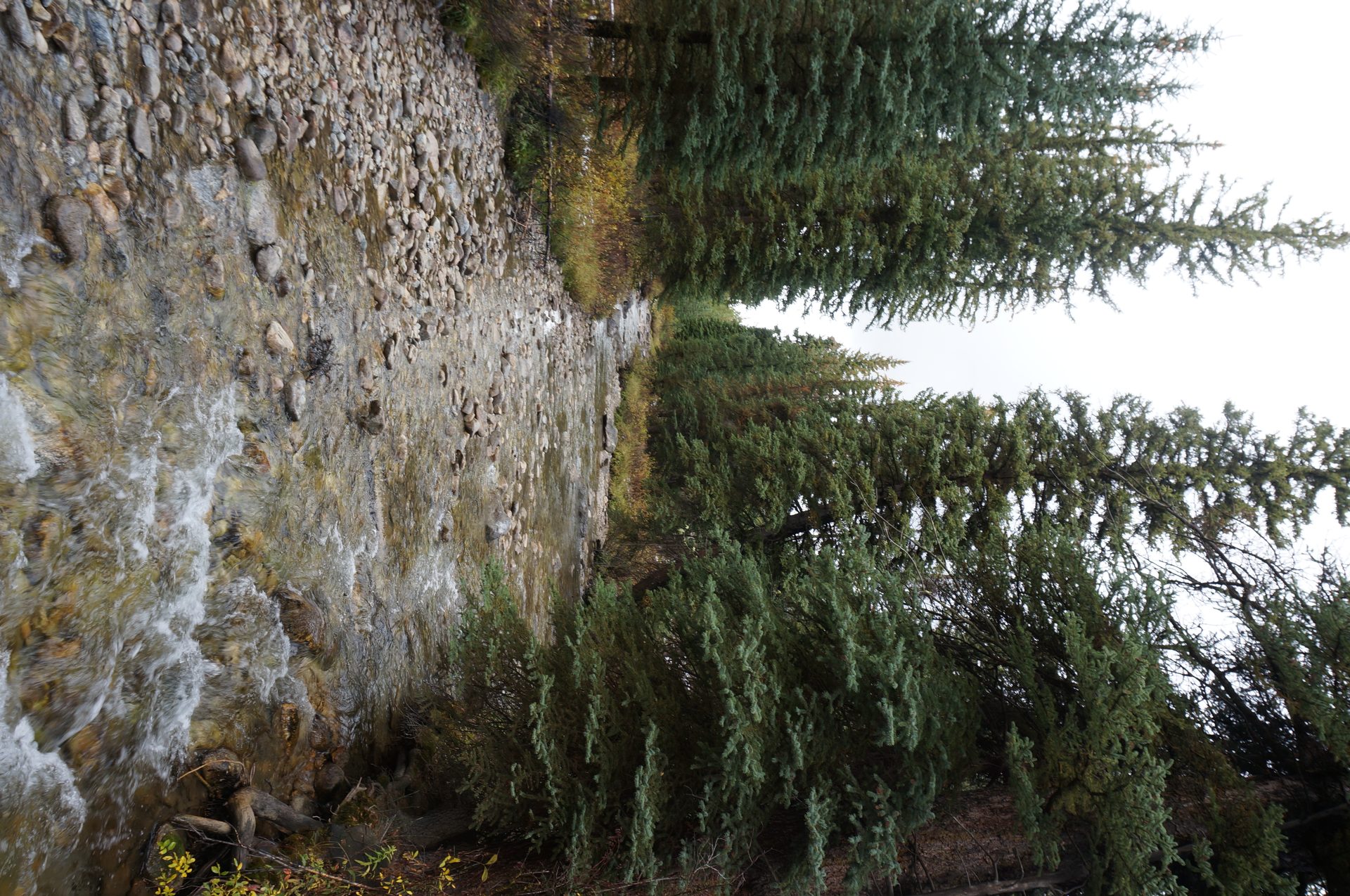 Jackson, Wyoming photo