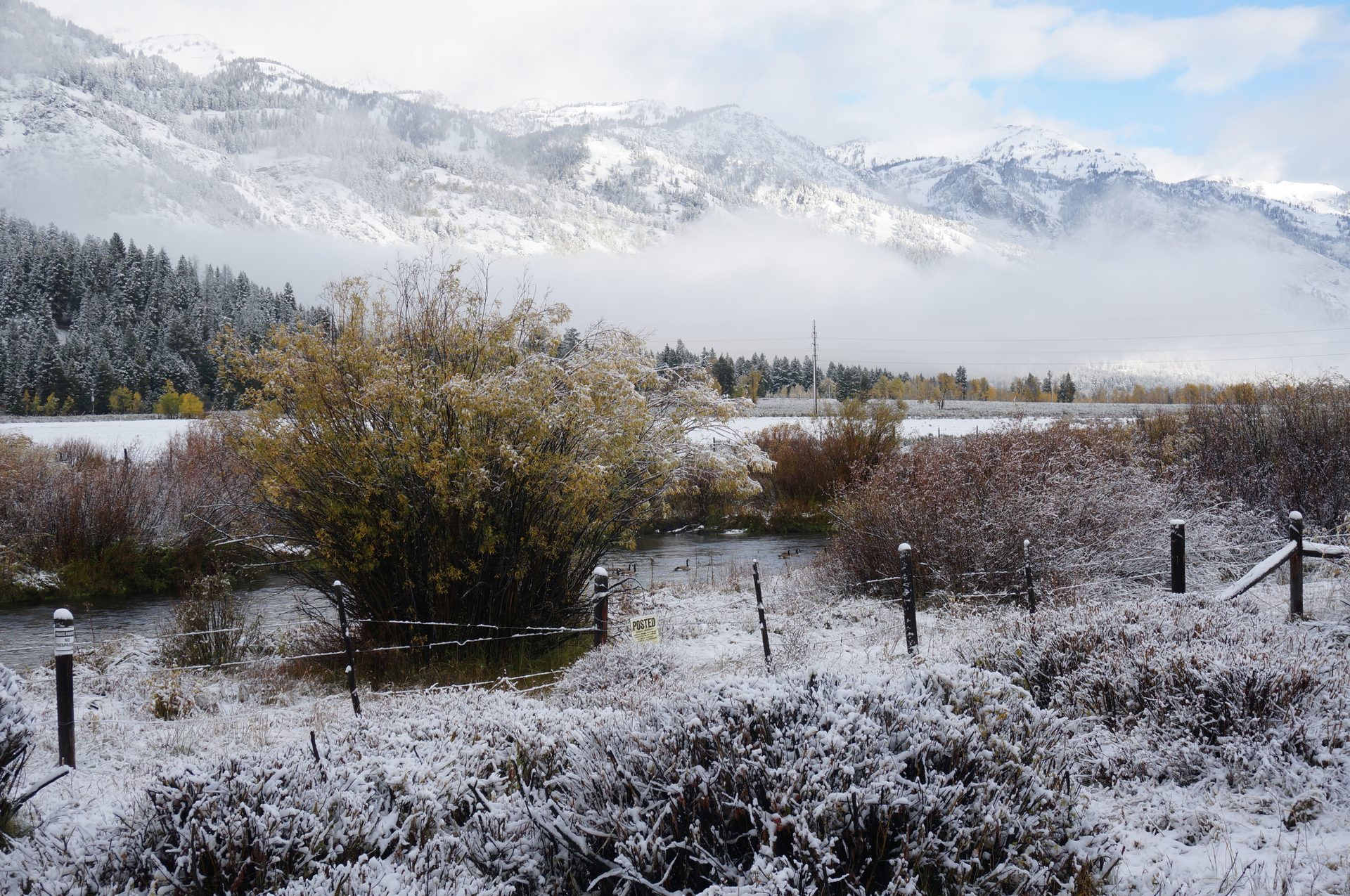 Jackson, Wyoming photo