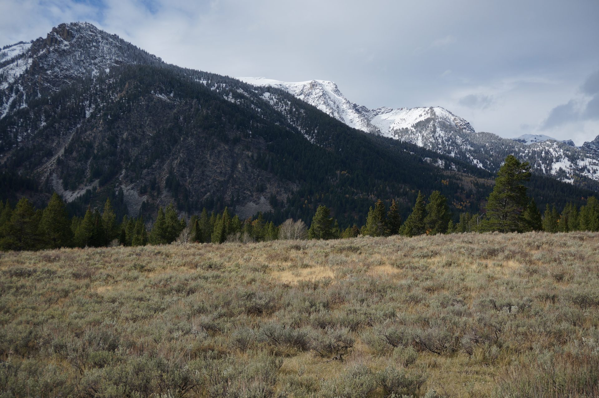 Jackson, Wyoming photo