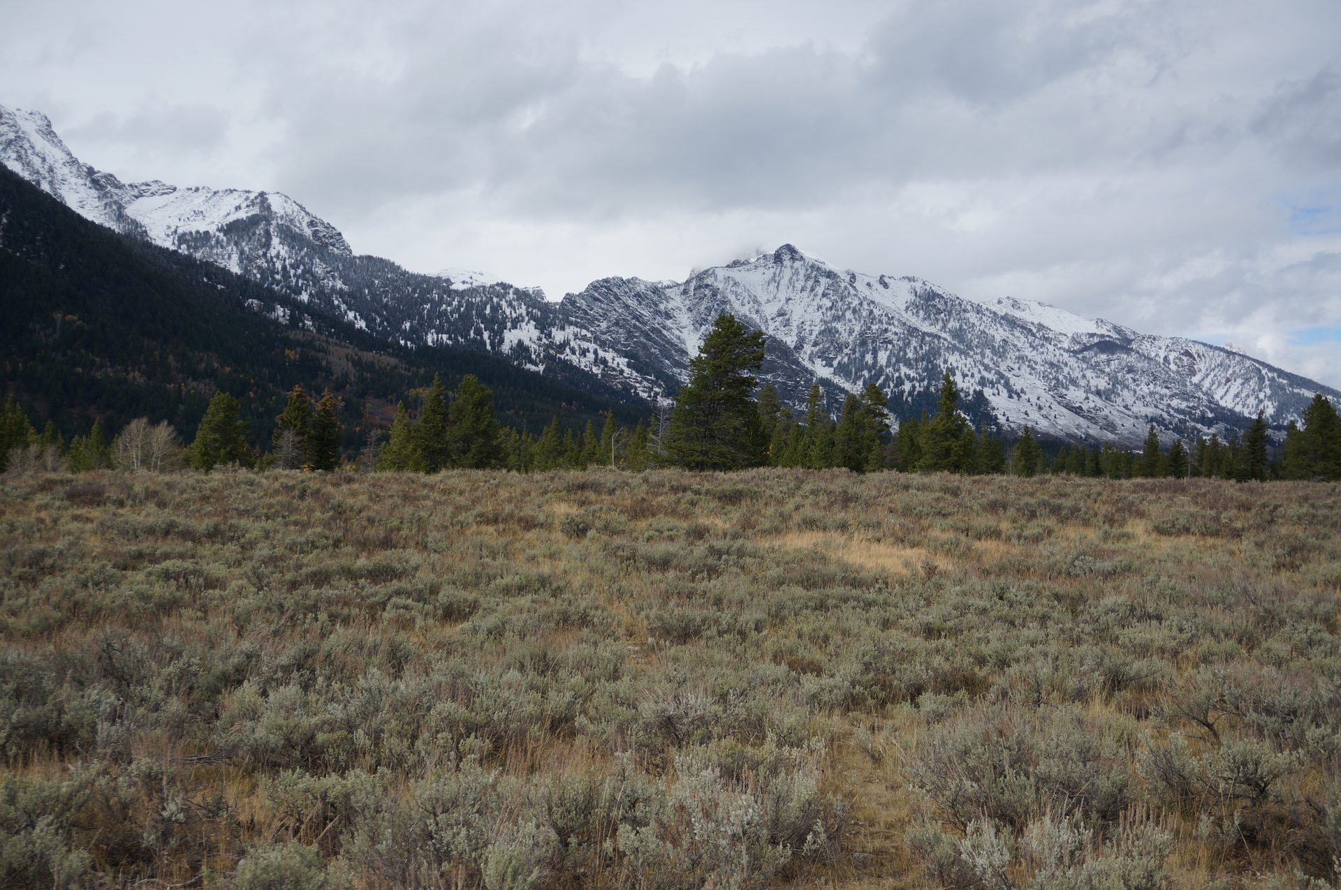 Jackson, Wyoming photo