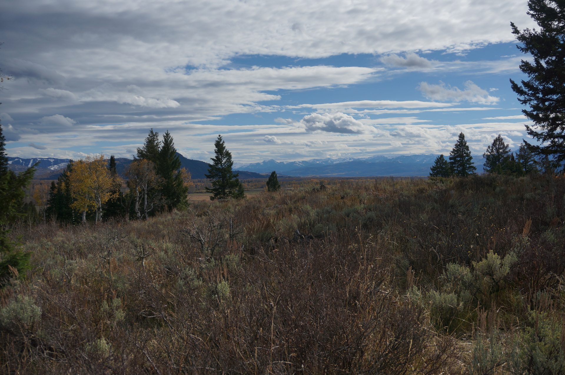Jackson, Wyoming photo