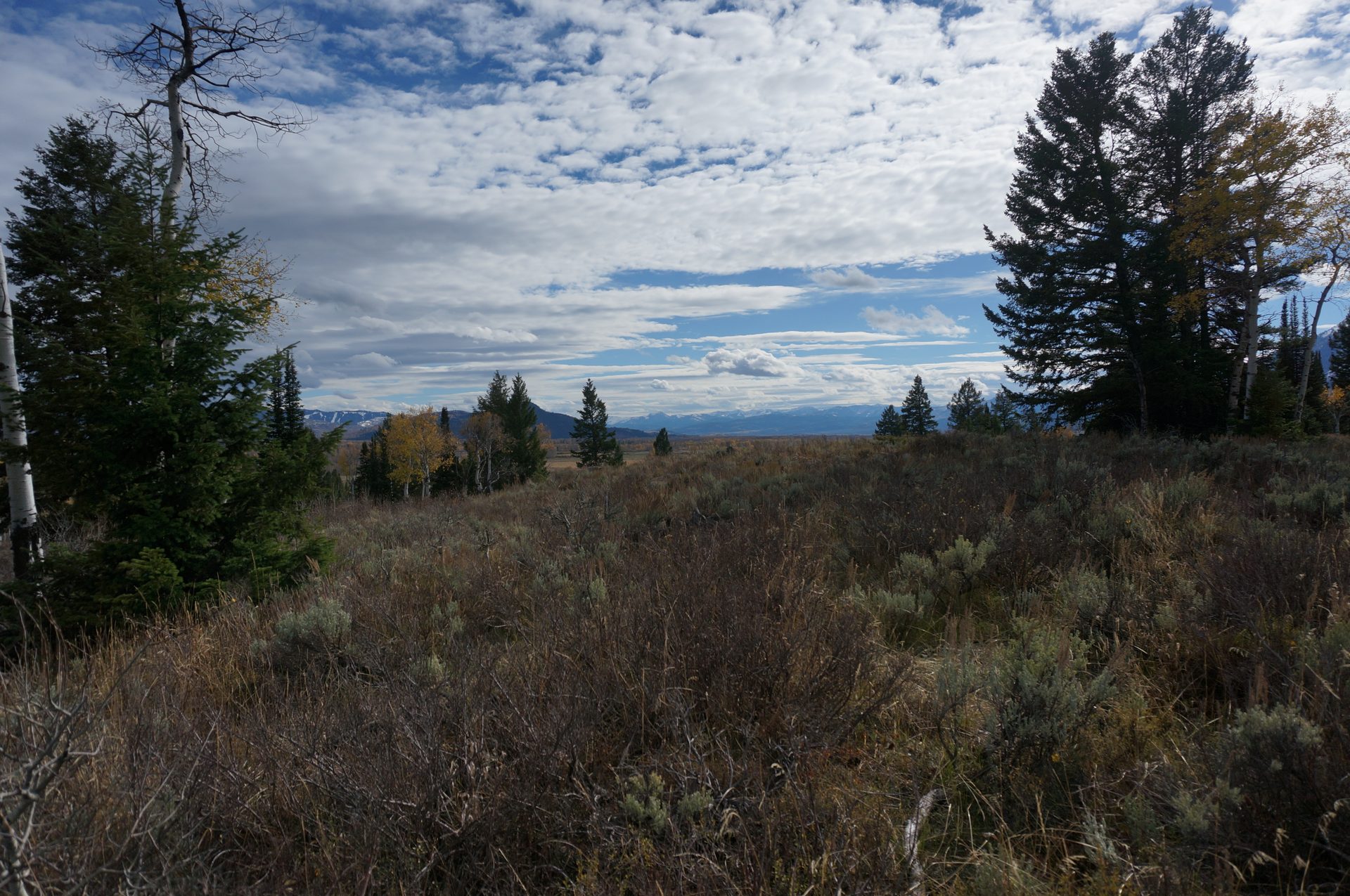 Jackson, Wyoming photo