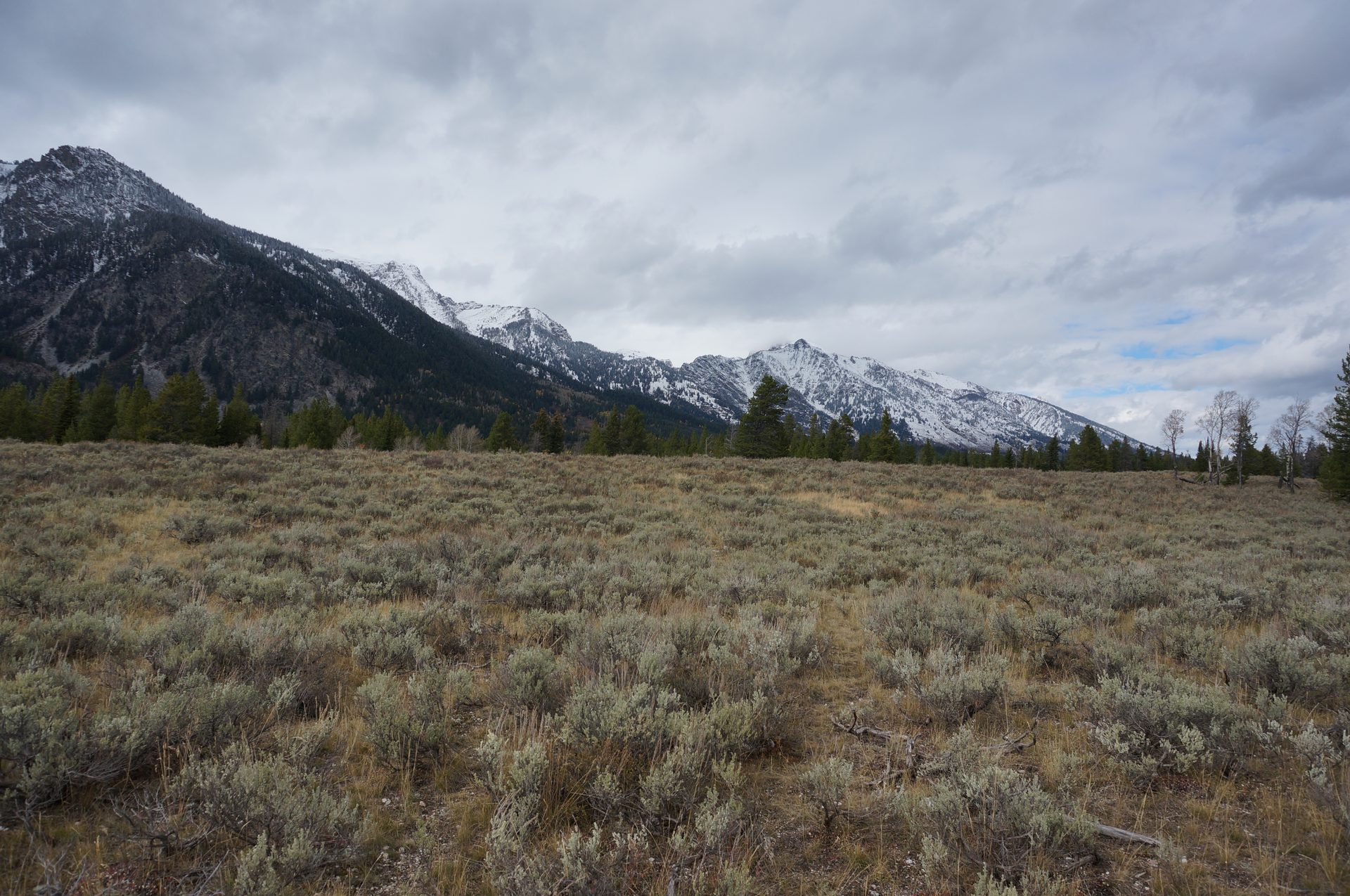 Jackson, Wyoming photo