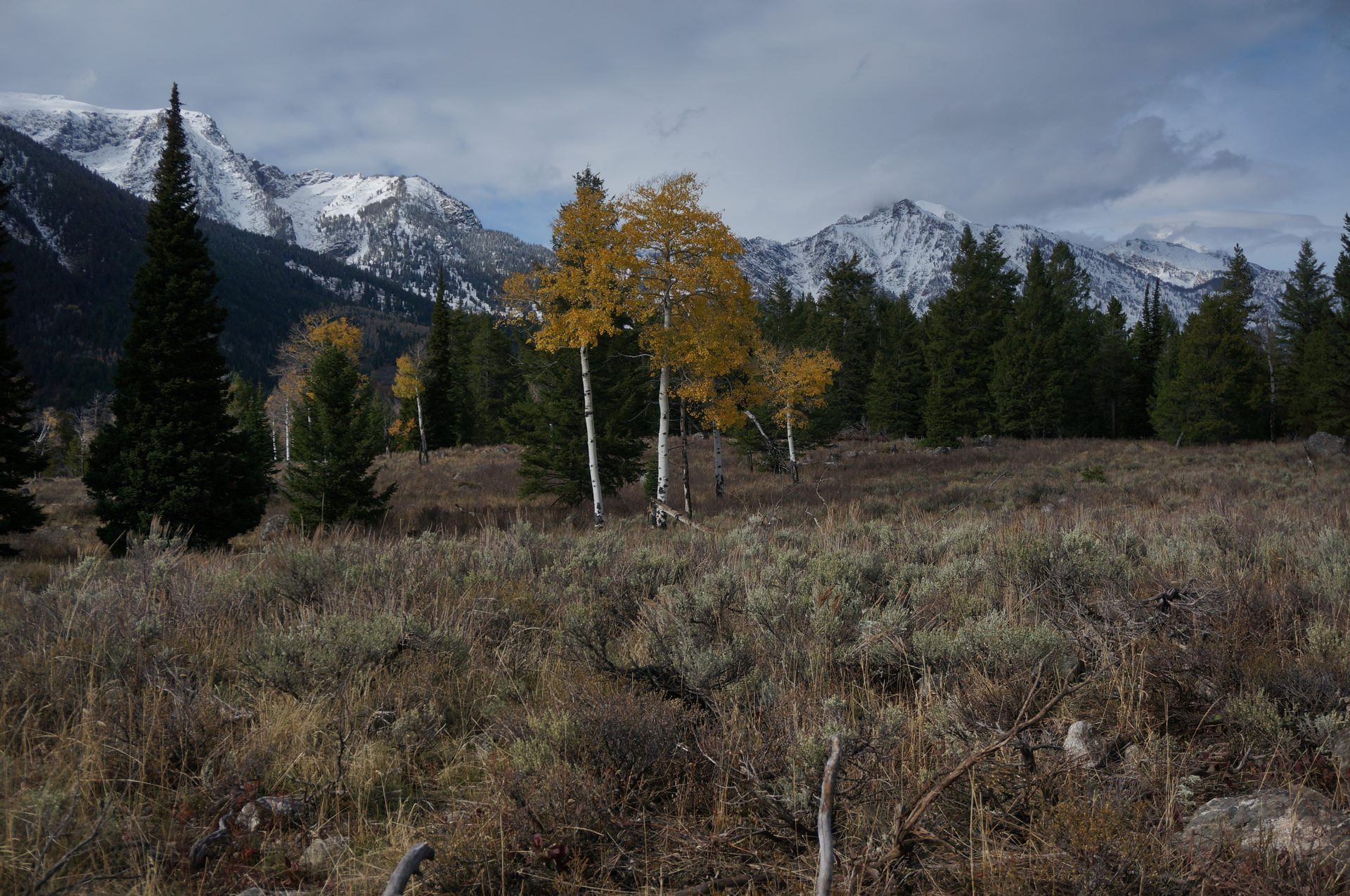 Jackson, Wyoming photo