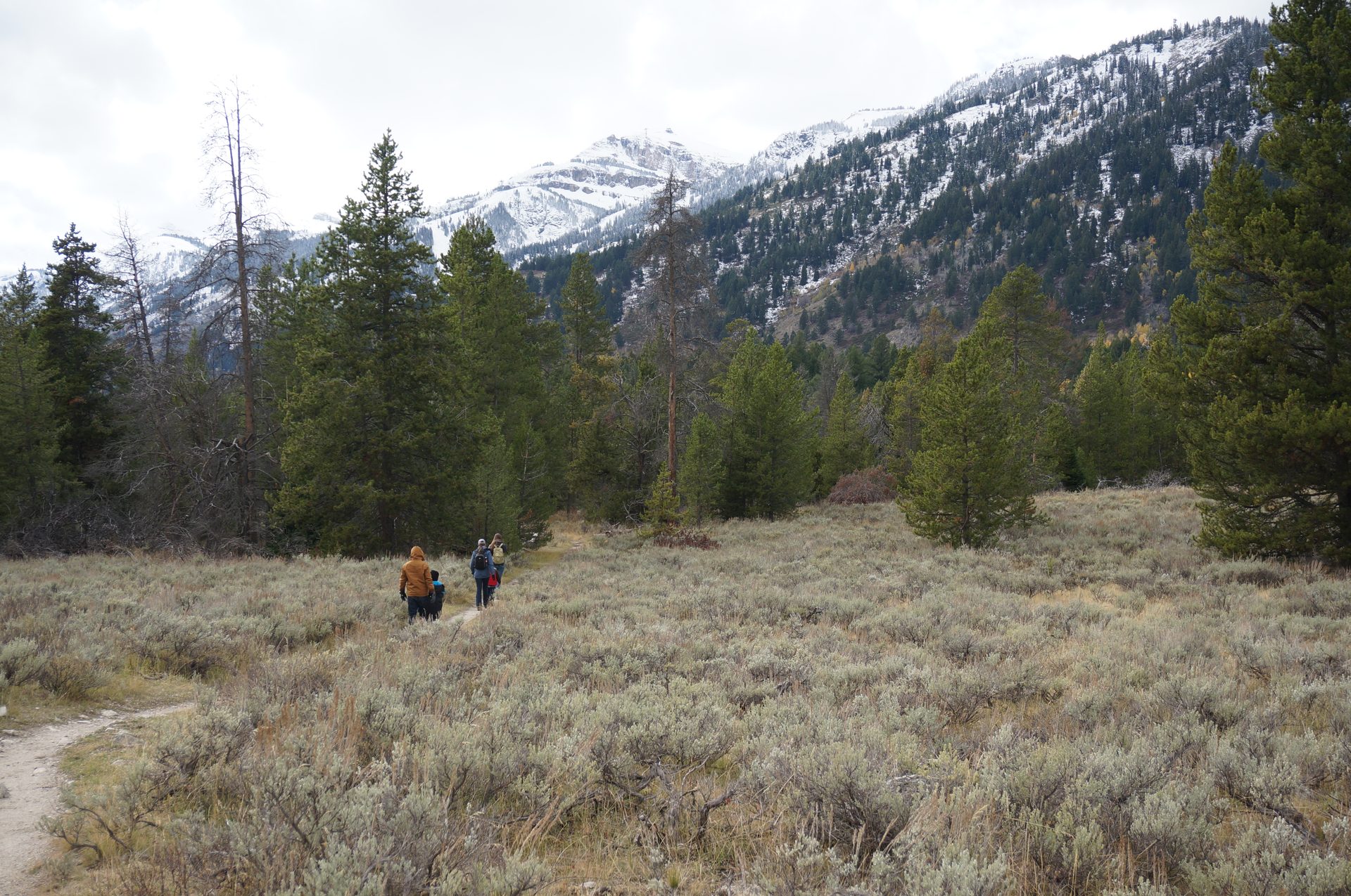 Jackson, Wyoming photo