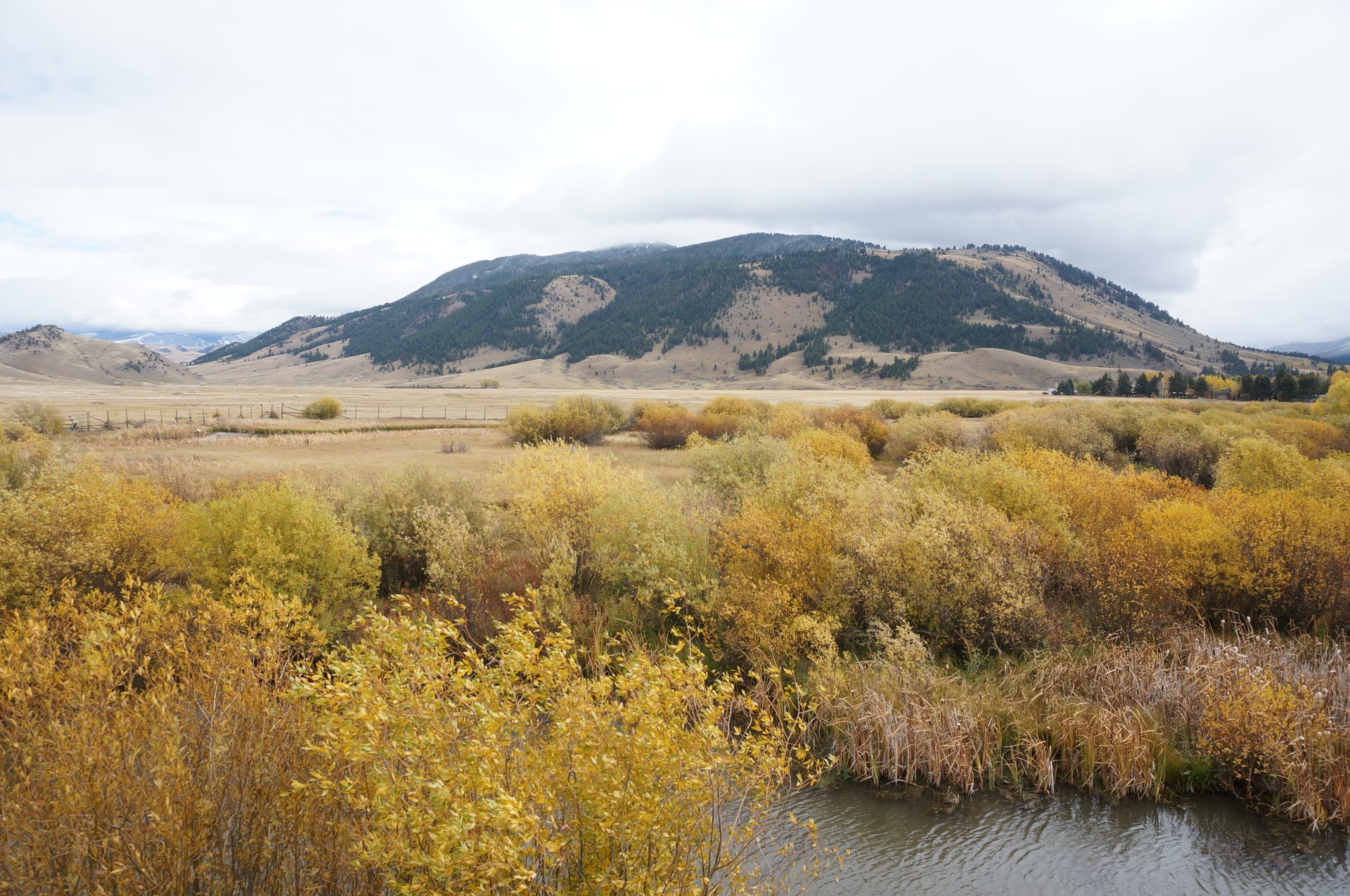 Jackson, Wyoming photo