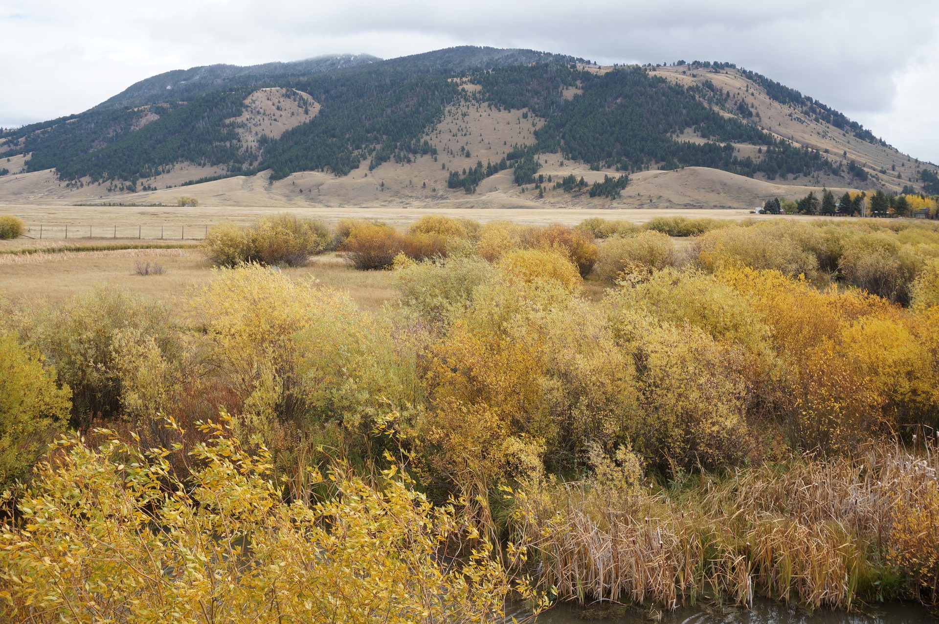 Jackson, Wyoming photo