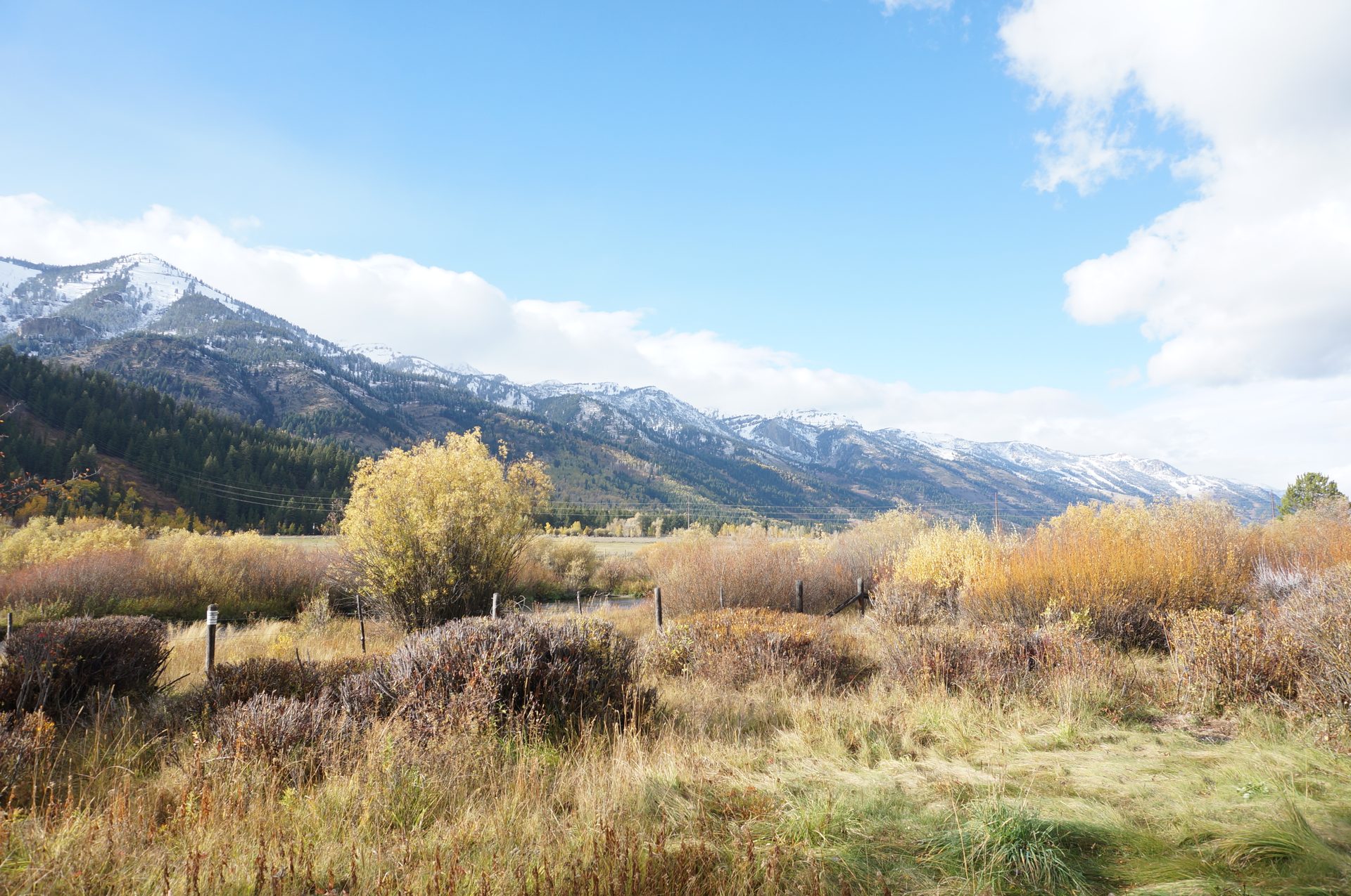 Jackson, Wyoming photo