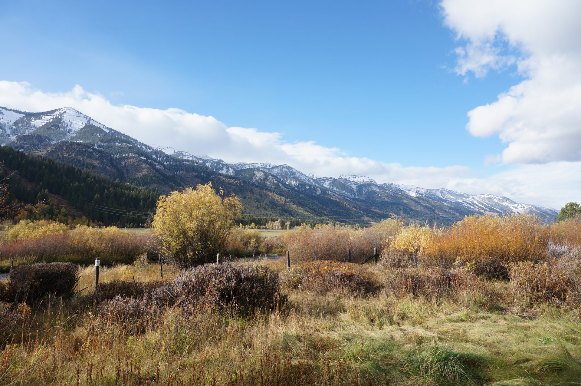 Jackson, Wyoming photo