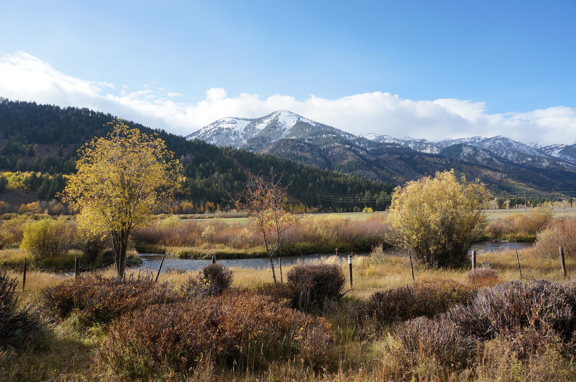 Jackson, Wyoming photo