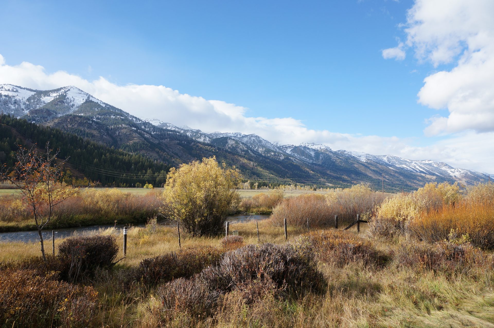 Jackson, Wyoming photo