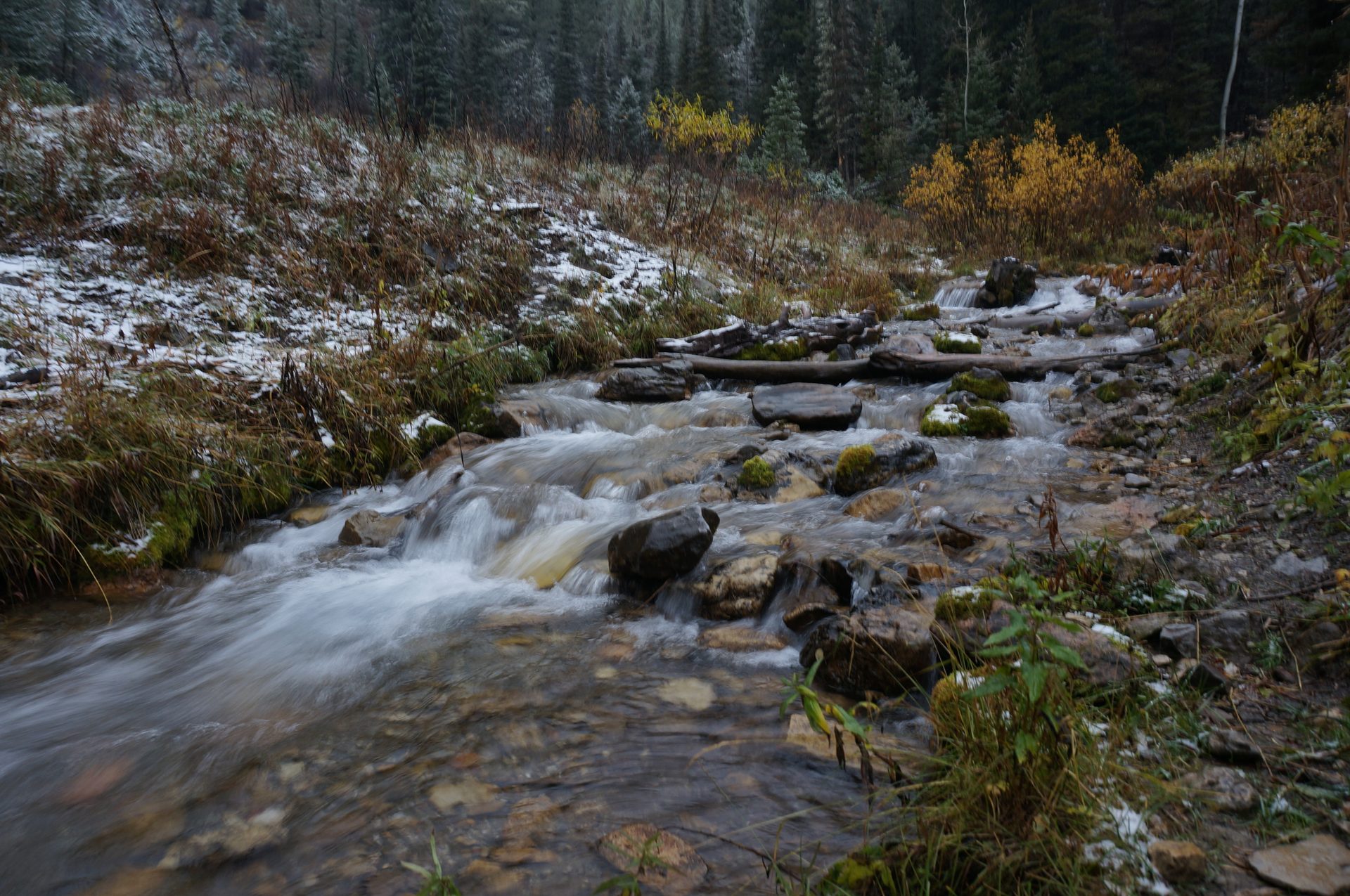 Jackson, Wyoming photo