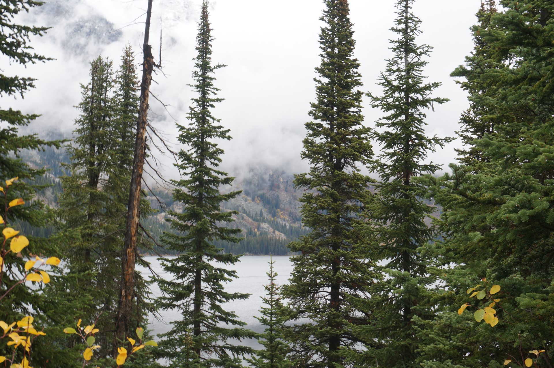 Jackson, Wyoming photo