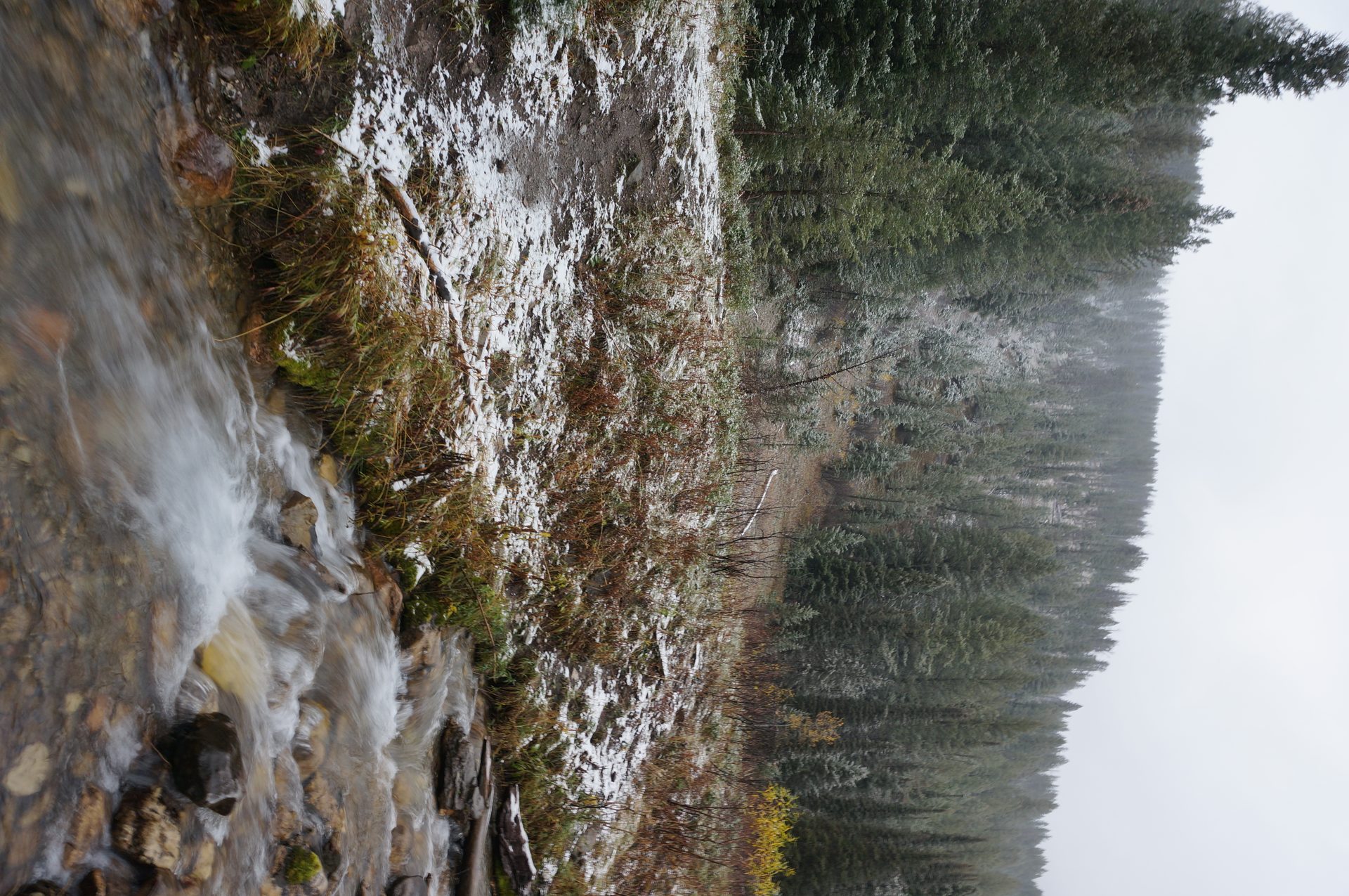 Jackson, Wyoming photo