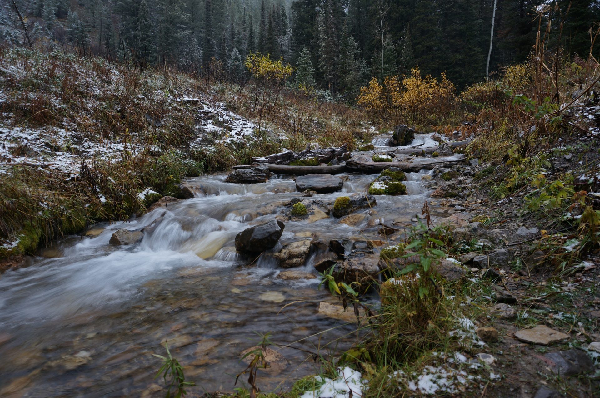 Jackson, Wyoming photo