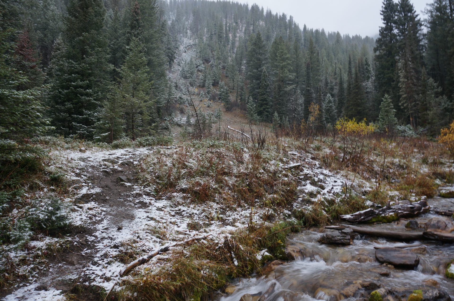 Jackson, Wyoming photo