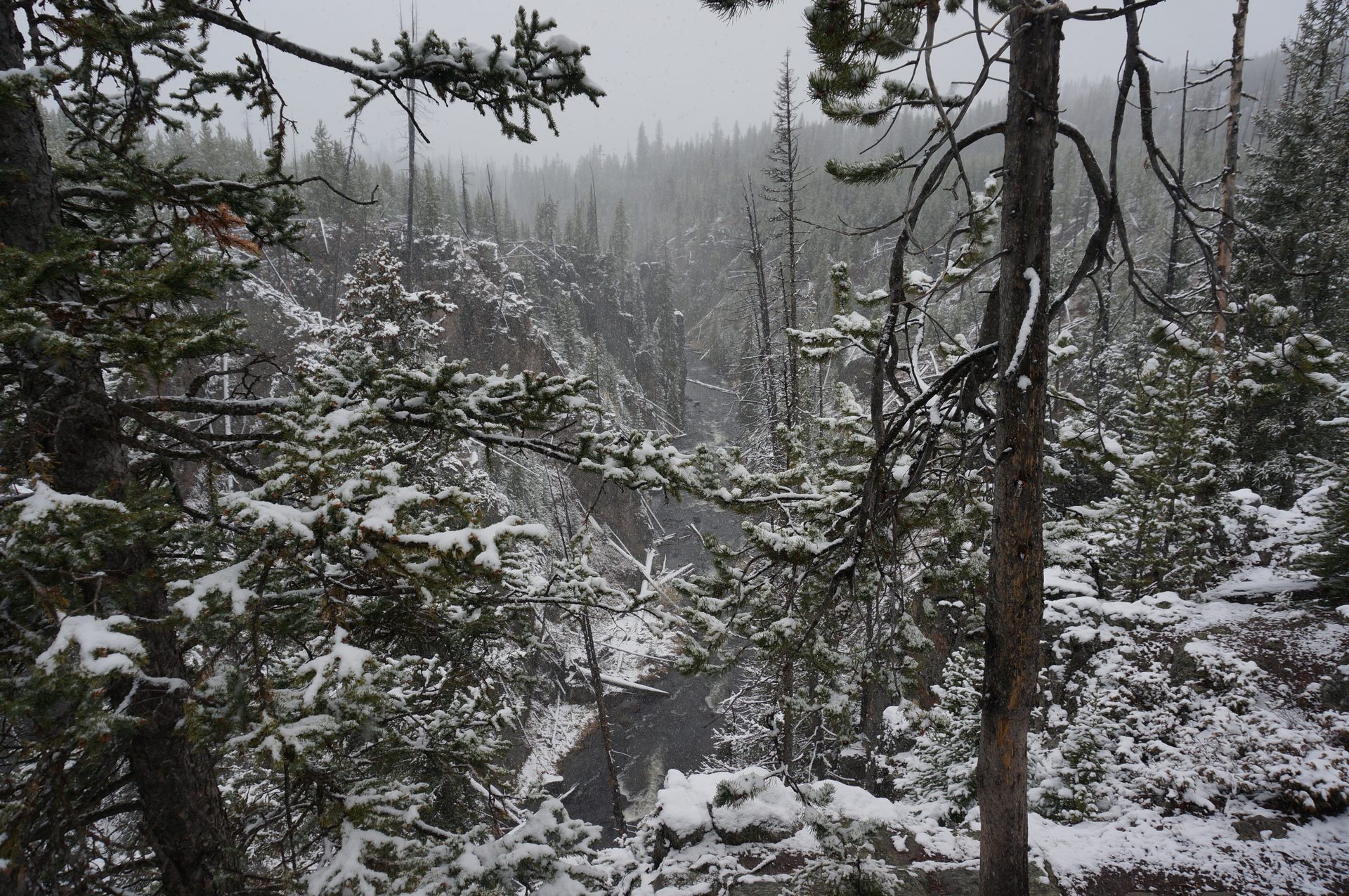 Jackson, Wyoming photo