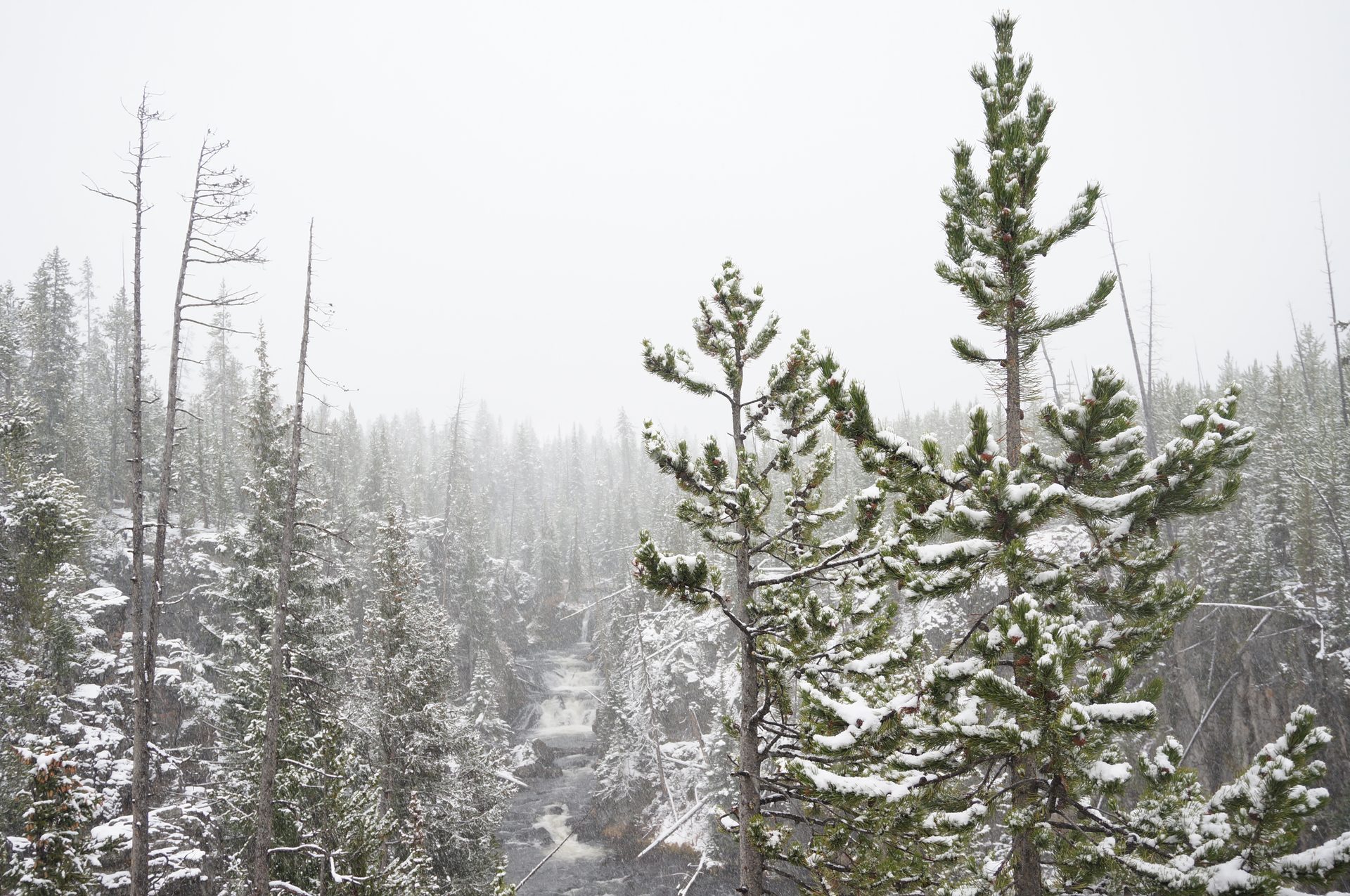 Jackson, Wyoming photo