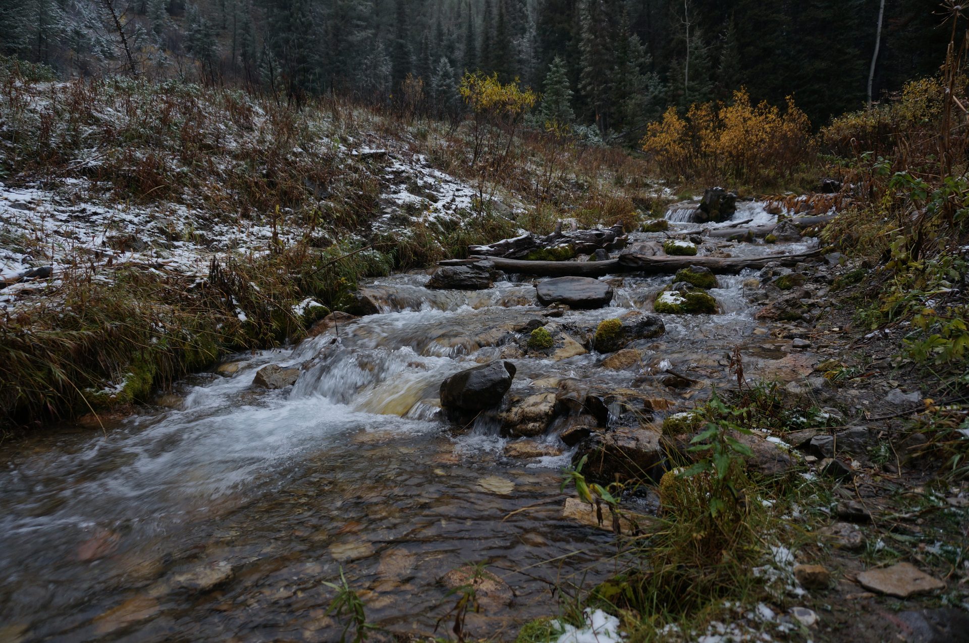 Jackson, Wyoming photo