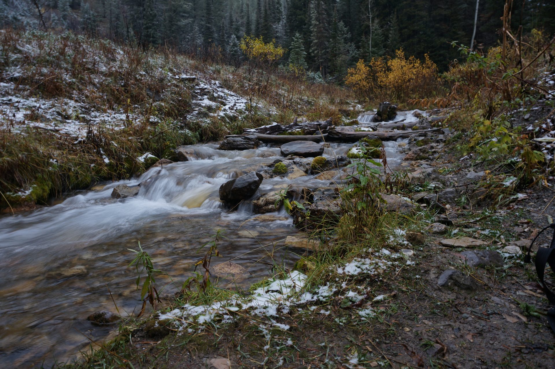 Jackson, Wyoming photo