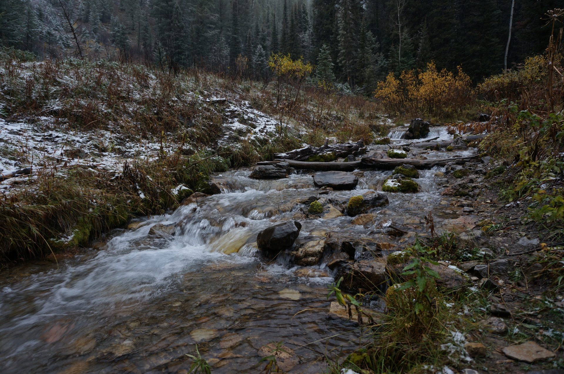 Jackson, Wyoming photo