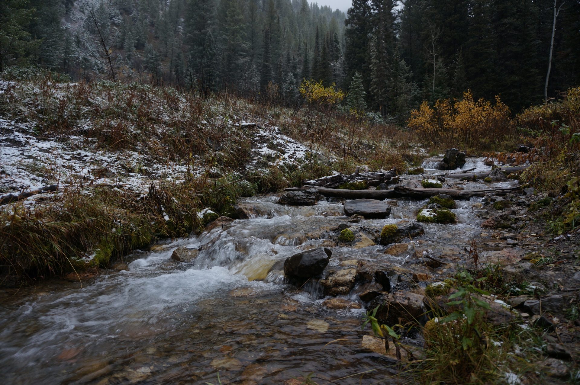 Jackson, Wyoming photo