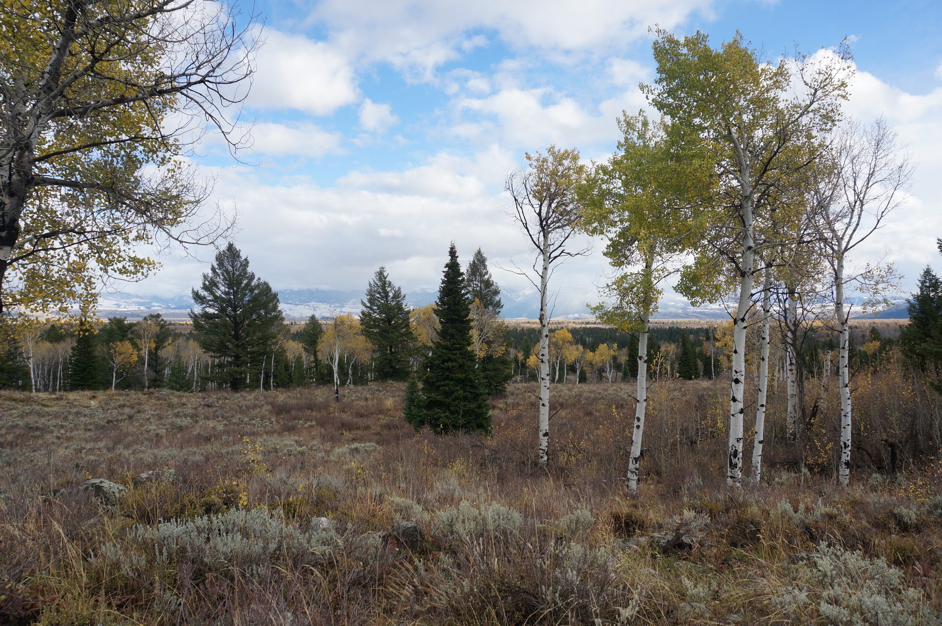 Jackson, Wyoming photo