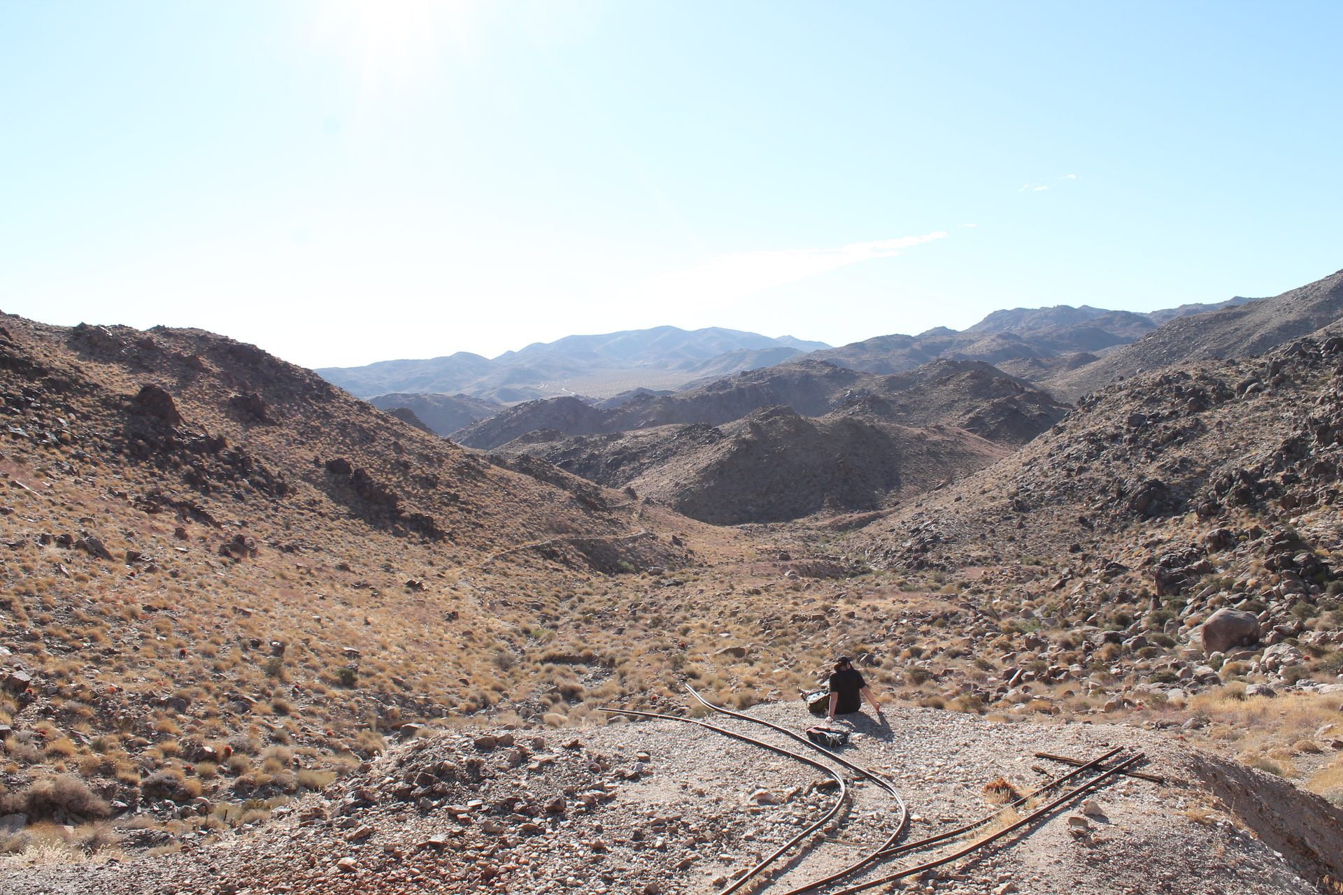 Joshua Tree photo