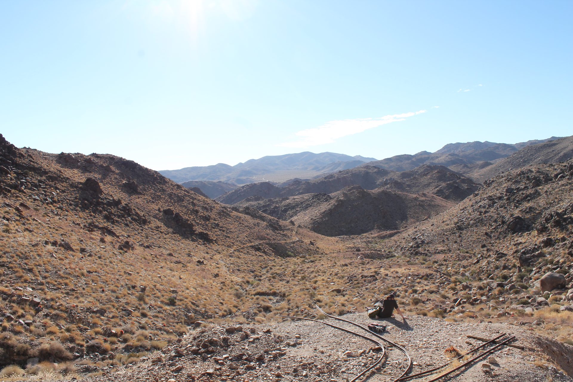 Joshua Tree photo