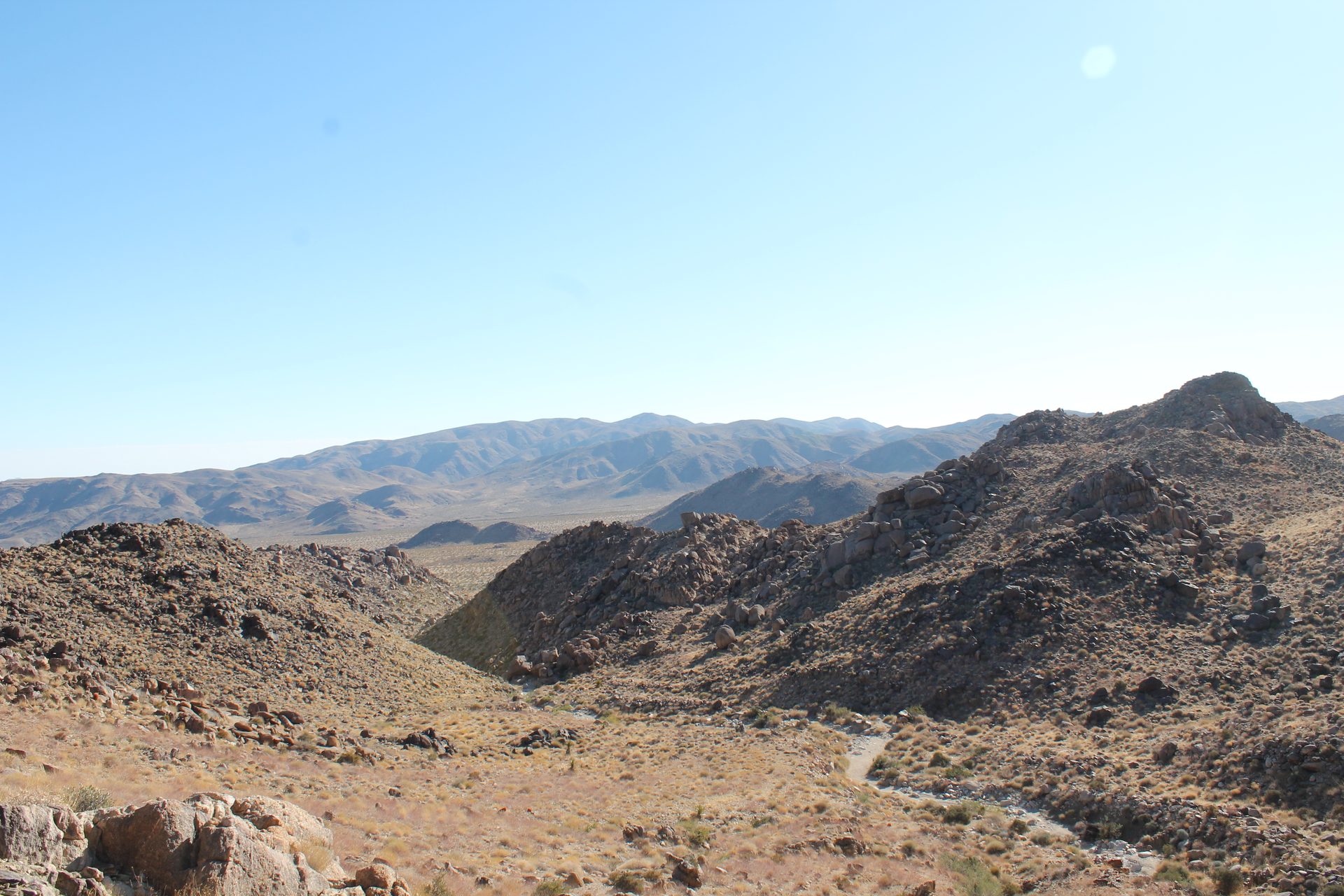 Joshua Tree photo