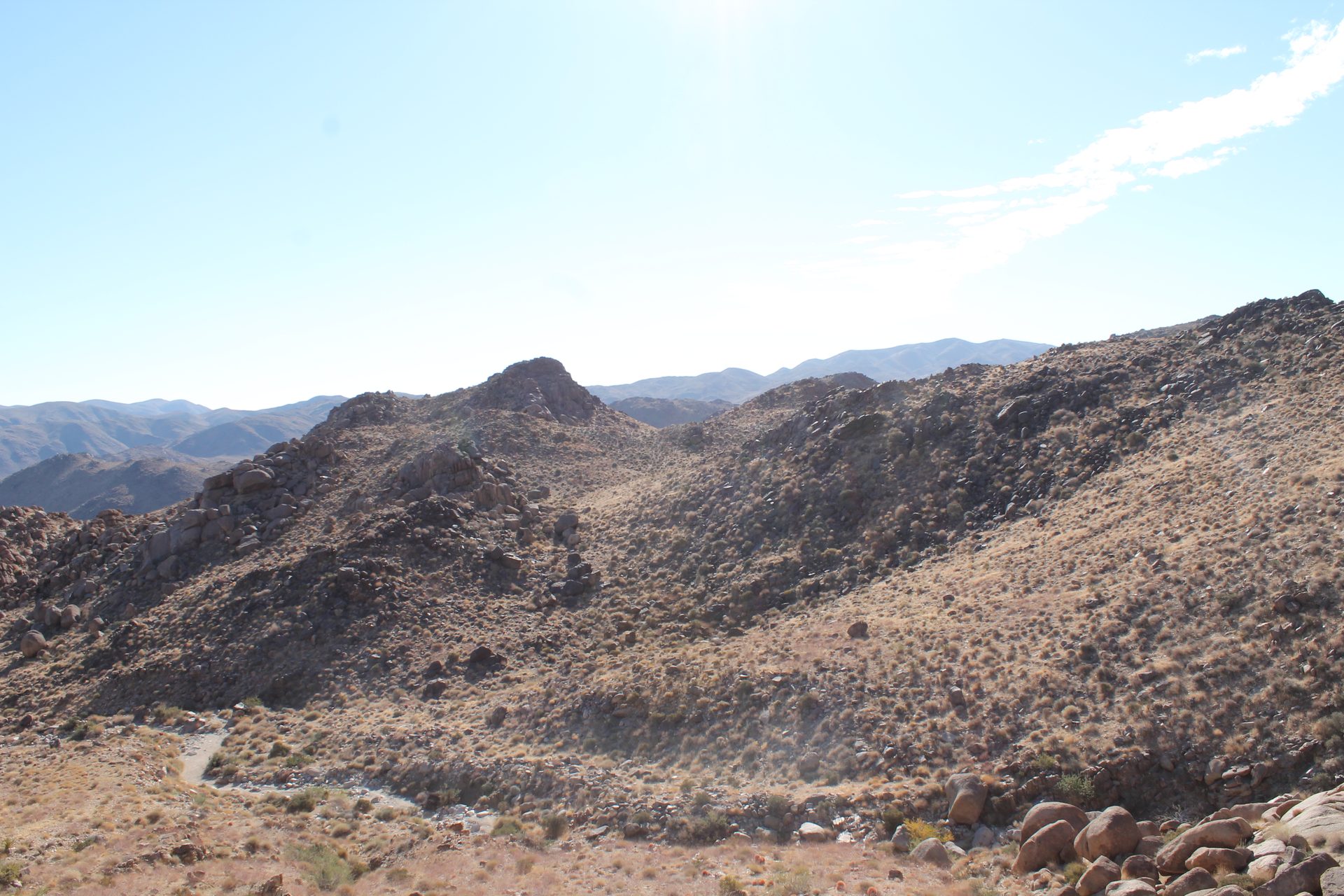 Joshua Tree photo