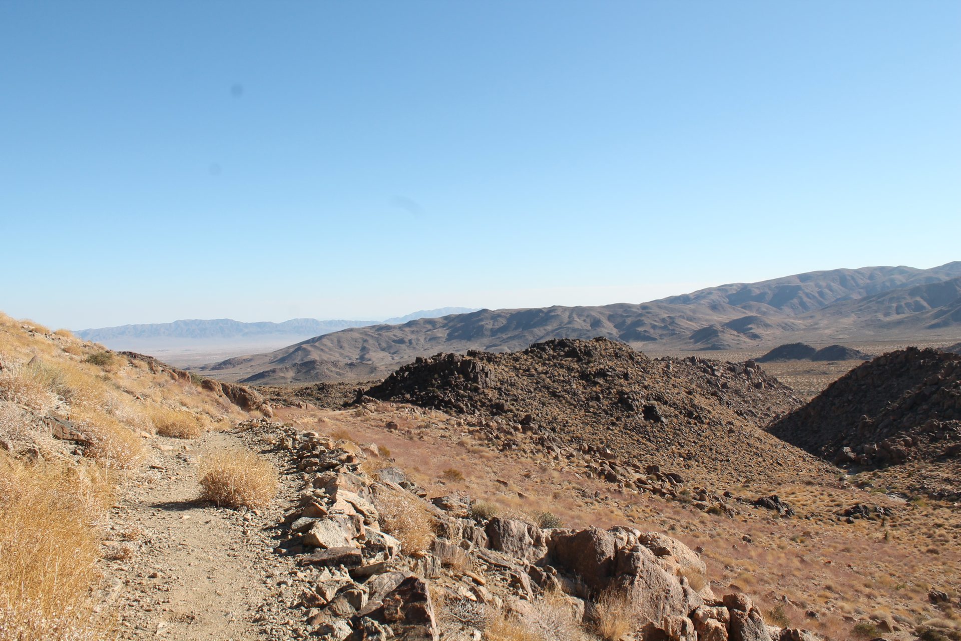 Joshua Tree photo