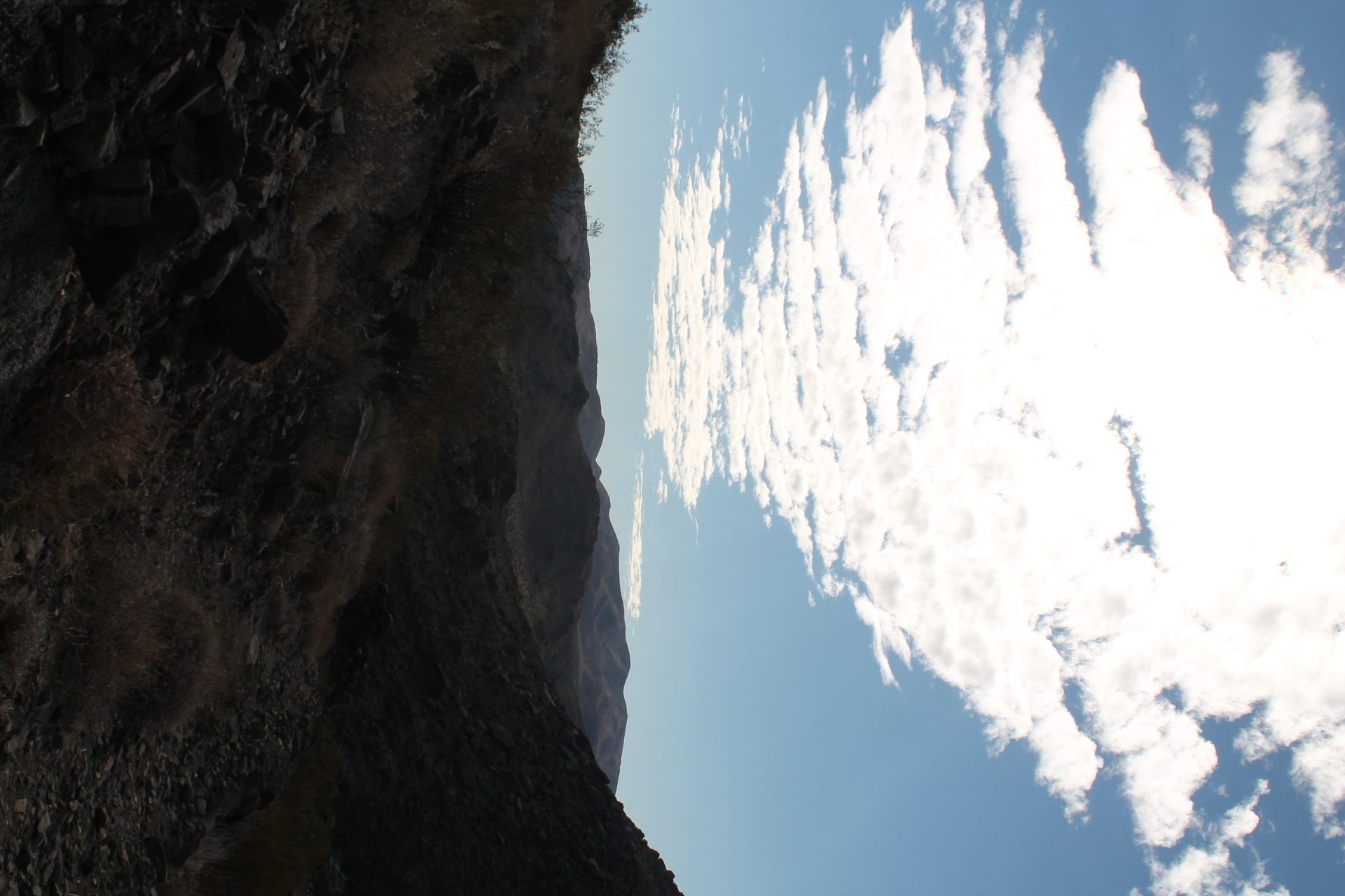 Joshua Tree photo