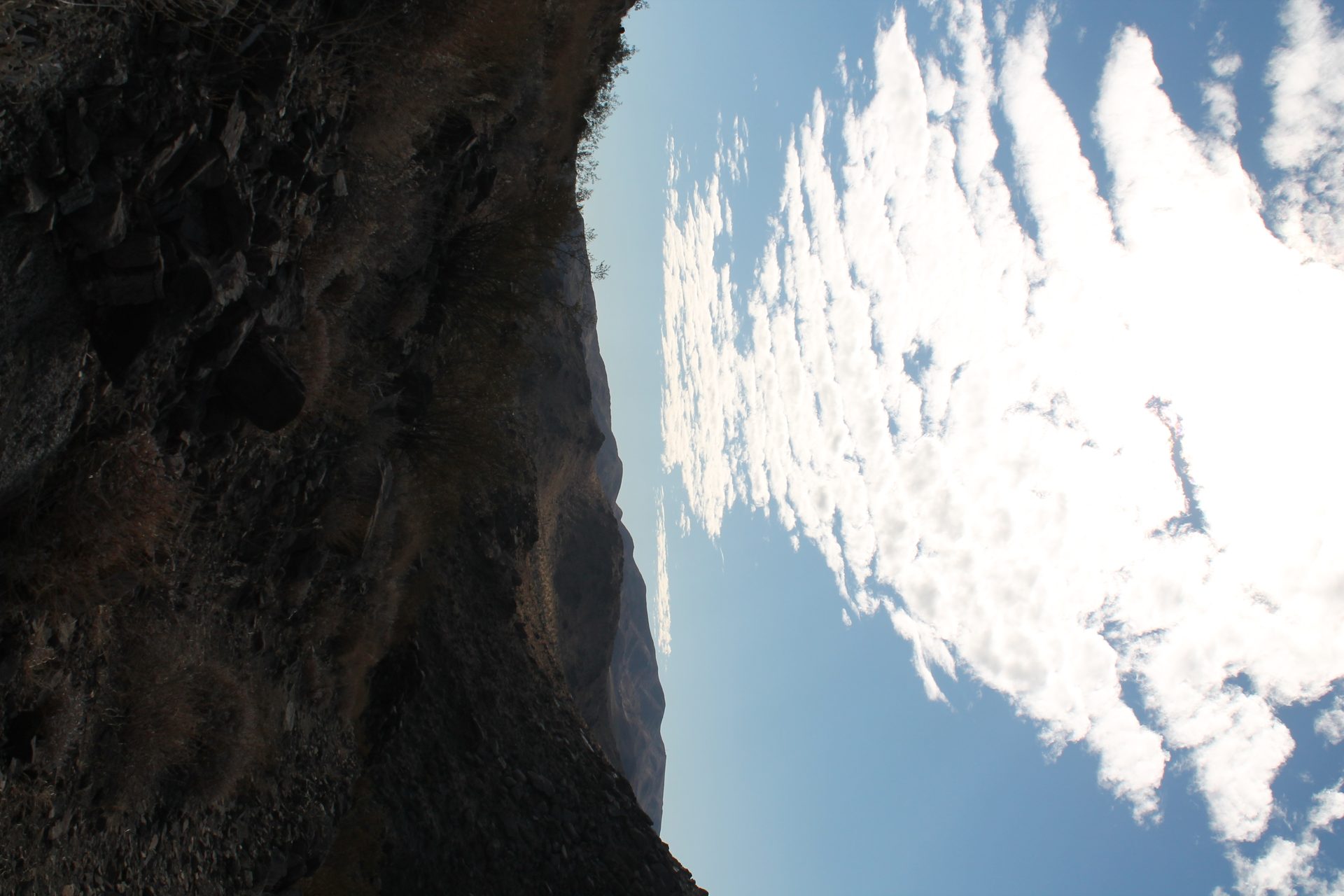 Joshua Tree photo