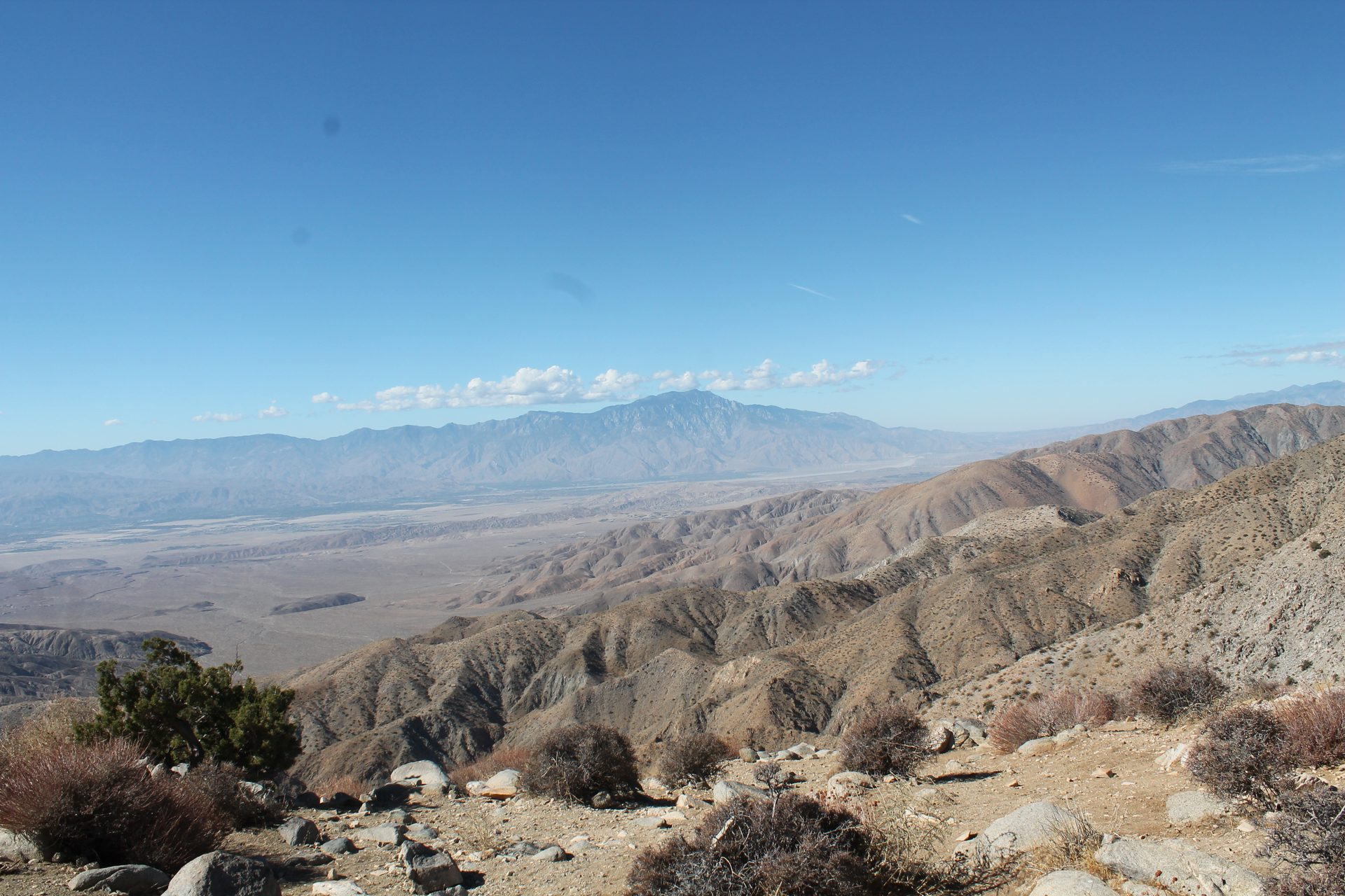 Joshua Tree photo