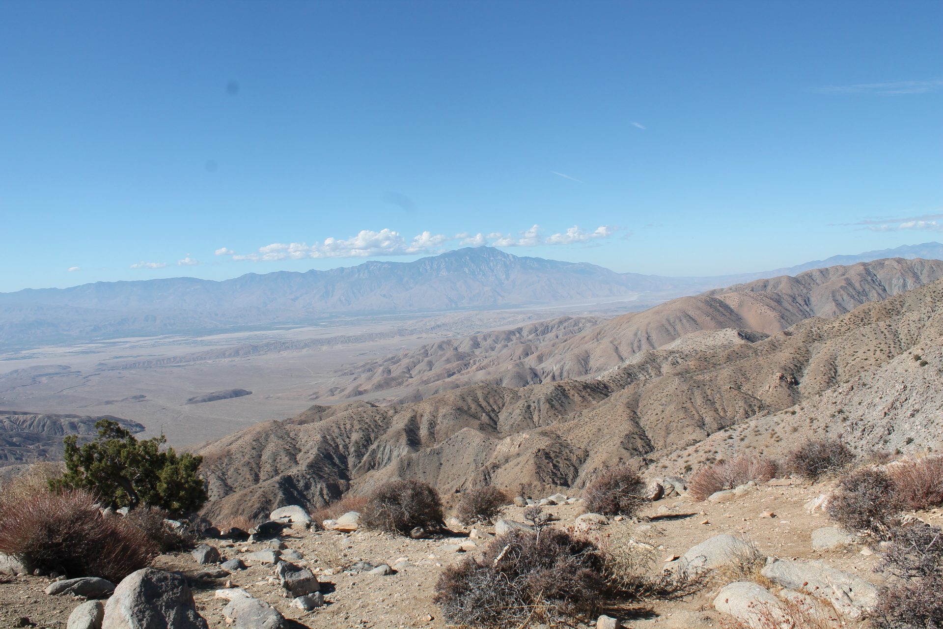 Joshua Tree photo