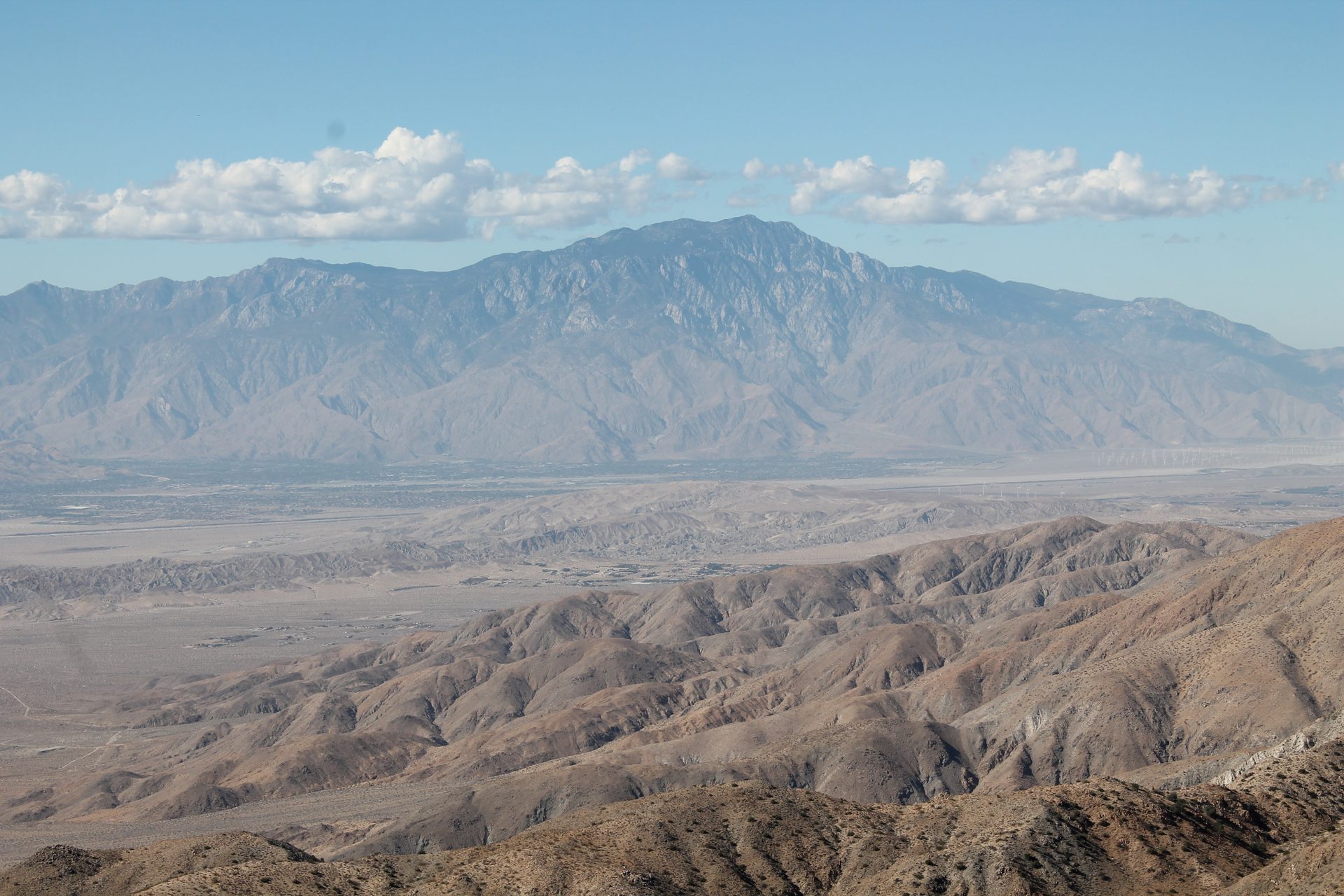 Joshua Tree photo